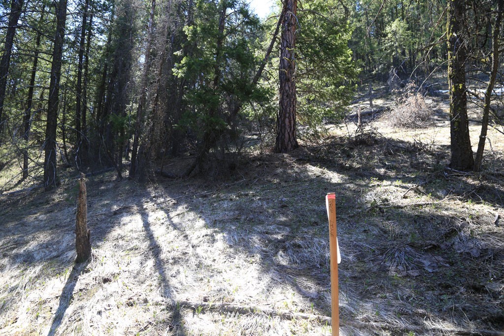 27 Sky Ranch Road Twisp, WA 98856 - Photo 24 of 35 Gallery Image 24