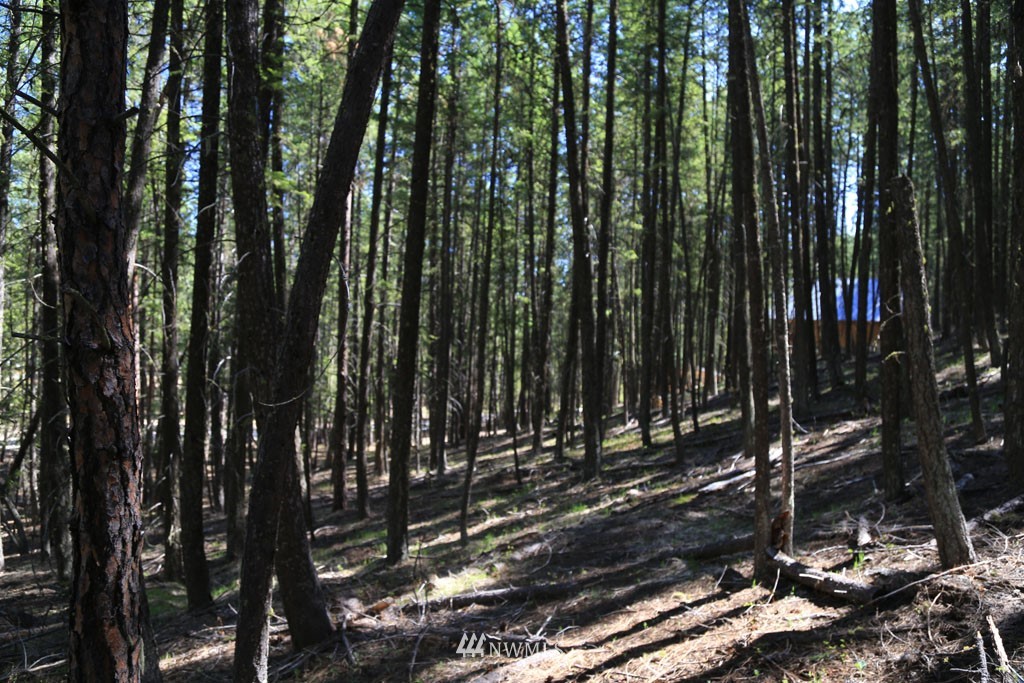 27 Sky Ranch Road Twisp, WA 98856 - Photo 31 of 35 Gallery Image 31
