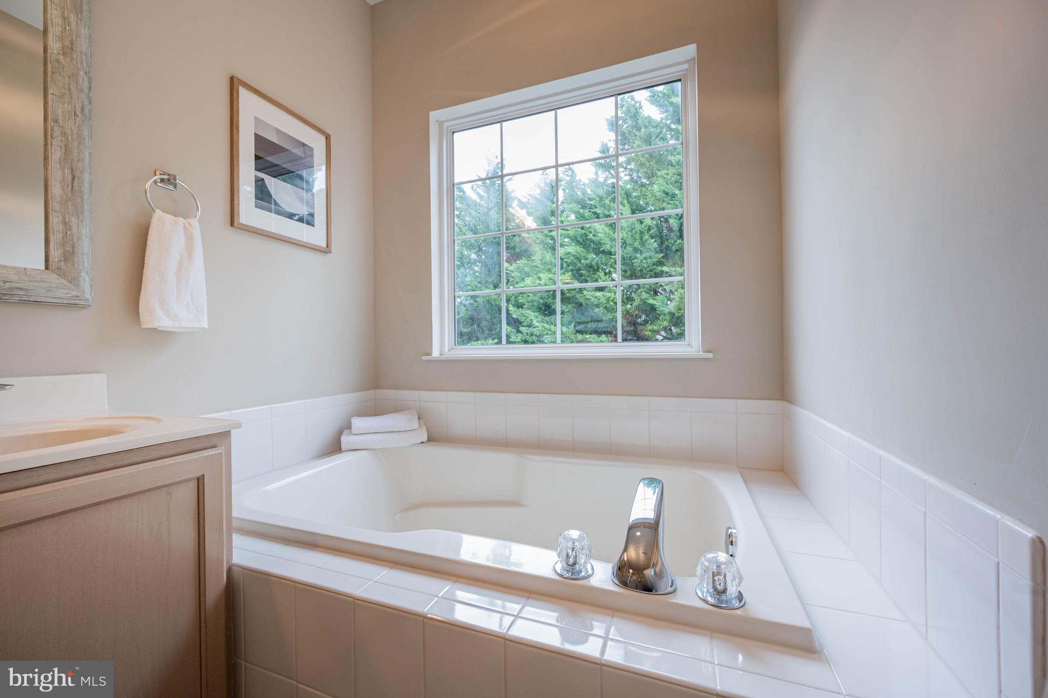 14029 Rockingham Road Germantown, MD 20874 - Photo 22 of 53 Primary Full Bath