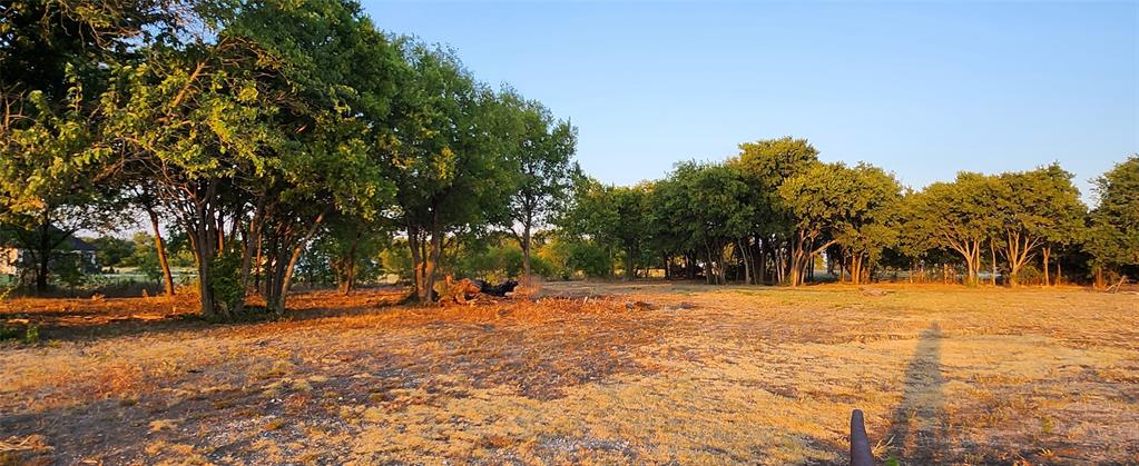 592 Pike Road Gunter, TX 75058 - Photo 28 of 40 View of yard