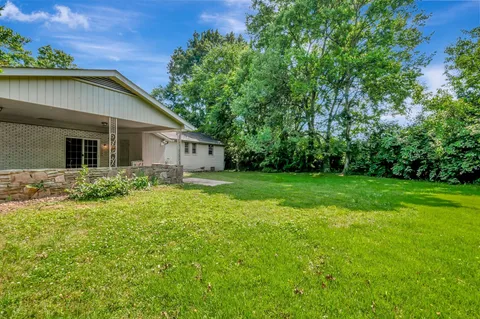 a backyard of a house with plants and large tree