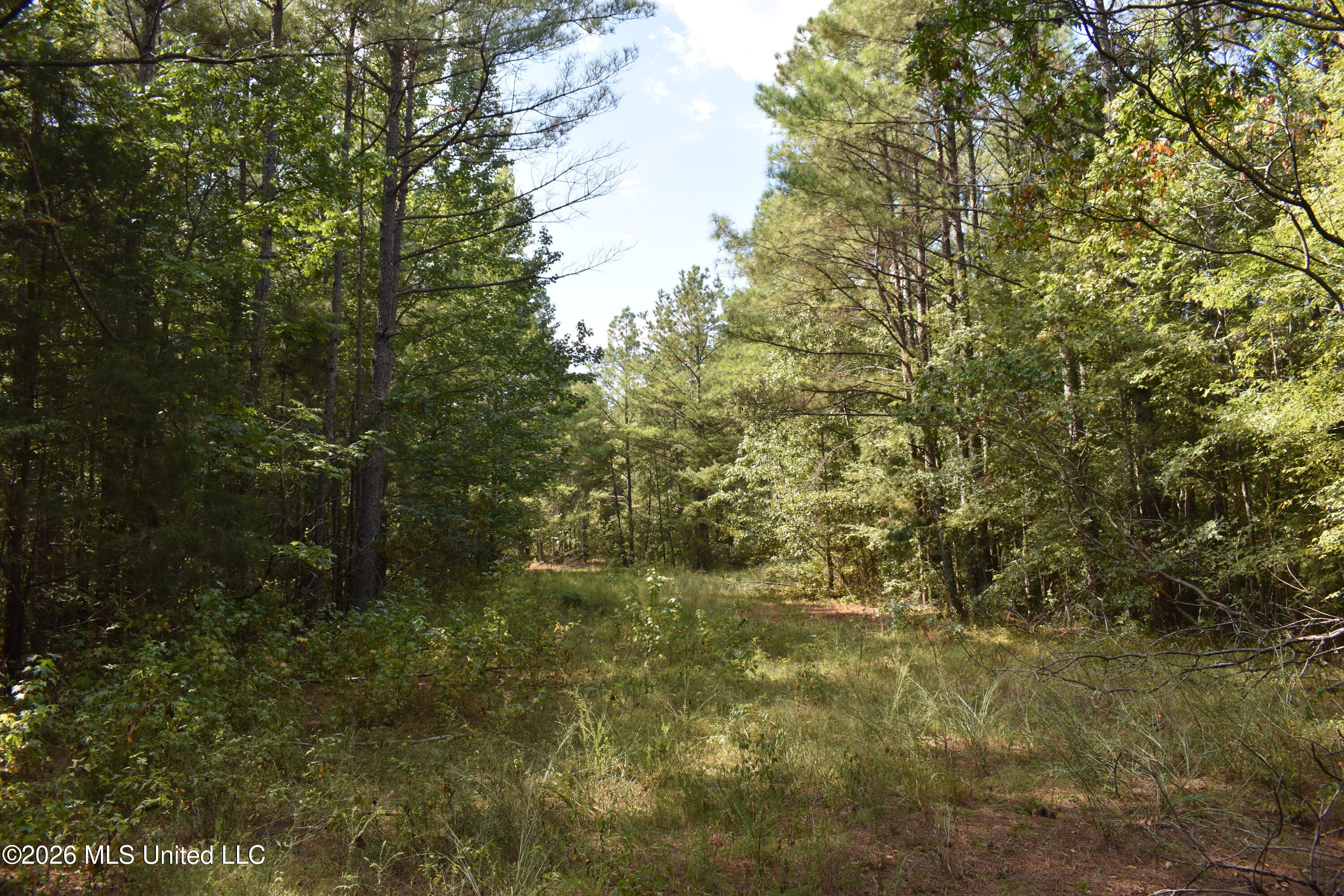 700 Front Road Toone, TN 38381 - Photo 22 of 31 DSC_0112