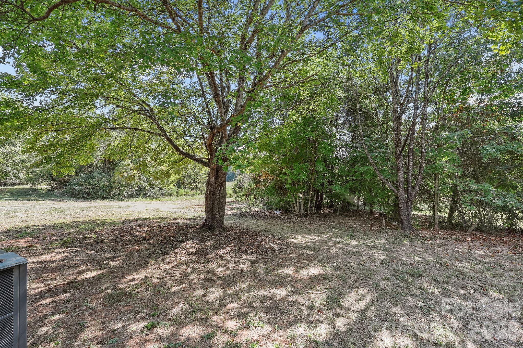 1315 King Road Salisbury, NC 28146 - Photo 36 of 41 a view of a tree in the middle of a yard