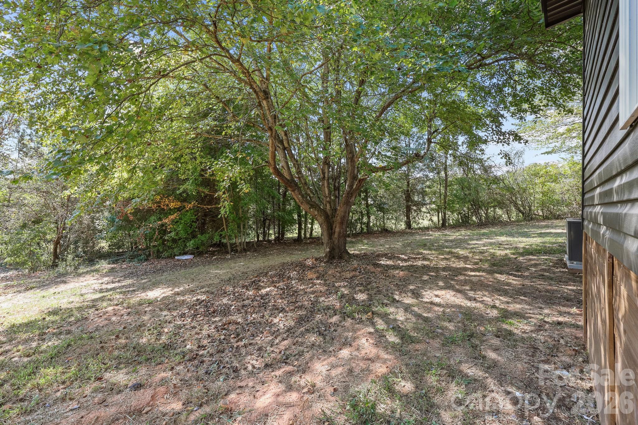 1315 King Road Salisbury, NC 28146 - Photo 37 of 41 a view of a yard with large trees