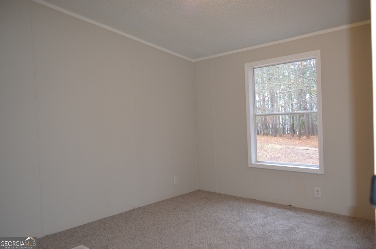 1048 Lee King Road Forsyth, GA 31029 - Photo 13 of 19 an empty room with a window