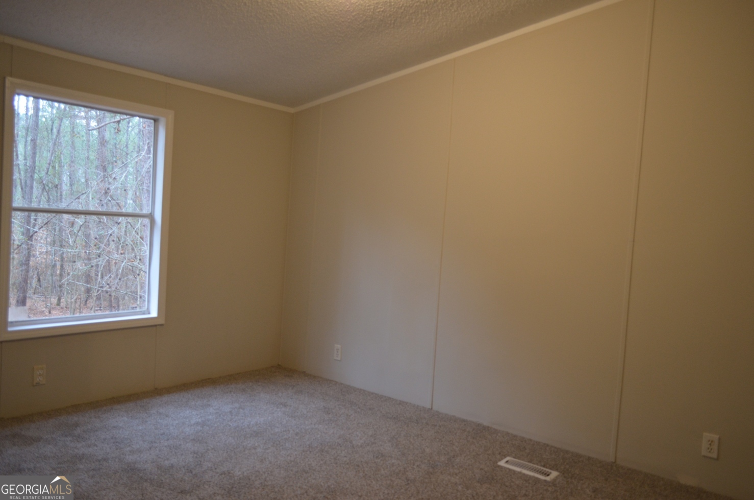 1048 Lee King Road Forsyth, GA 31029 - Photo 14 of 19 an empty room with windows