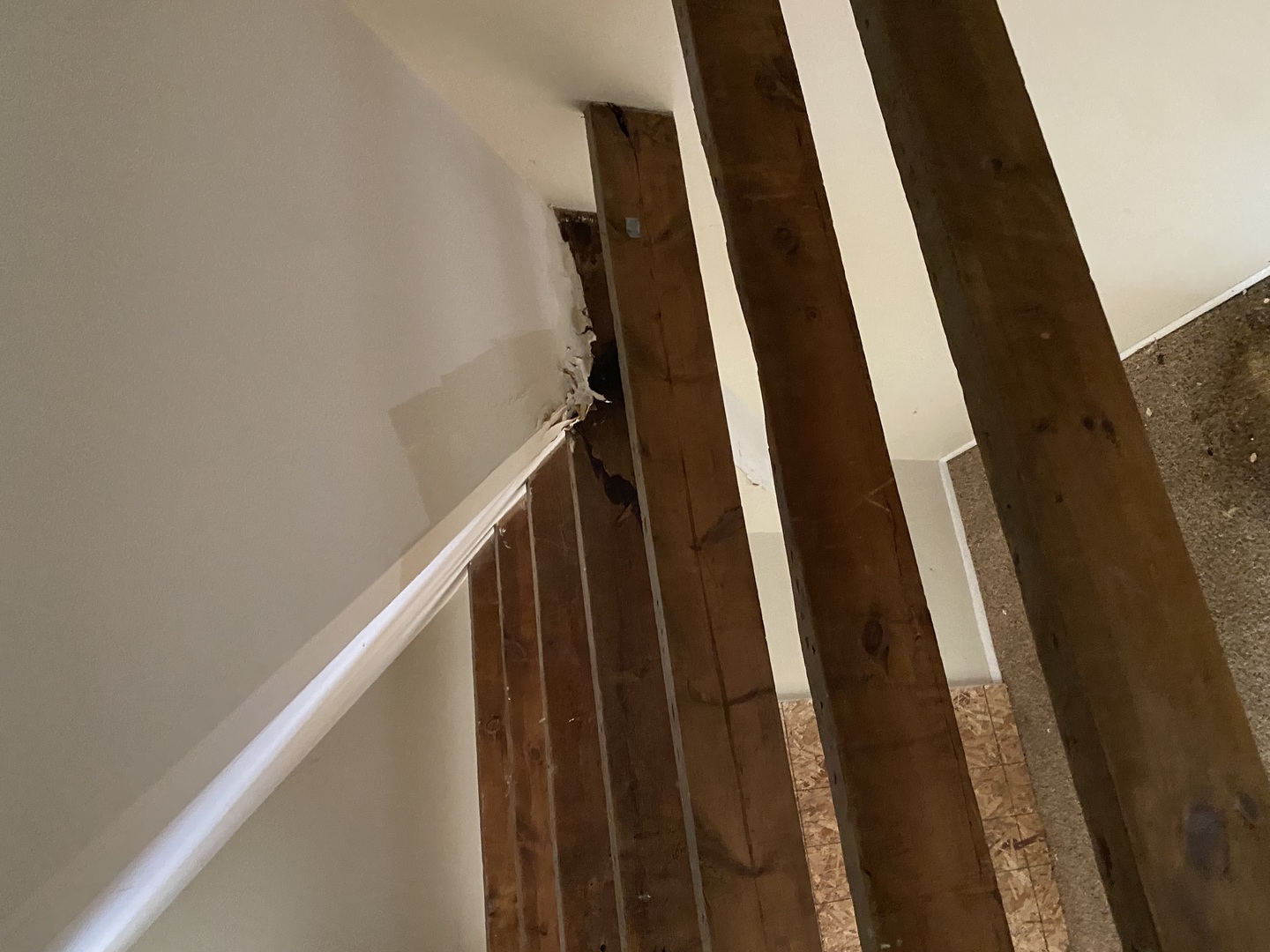 1522 West Wilson Avenue Chicago, IL 60640 - Photo 18 of 27