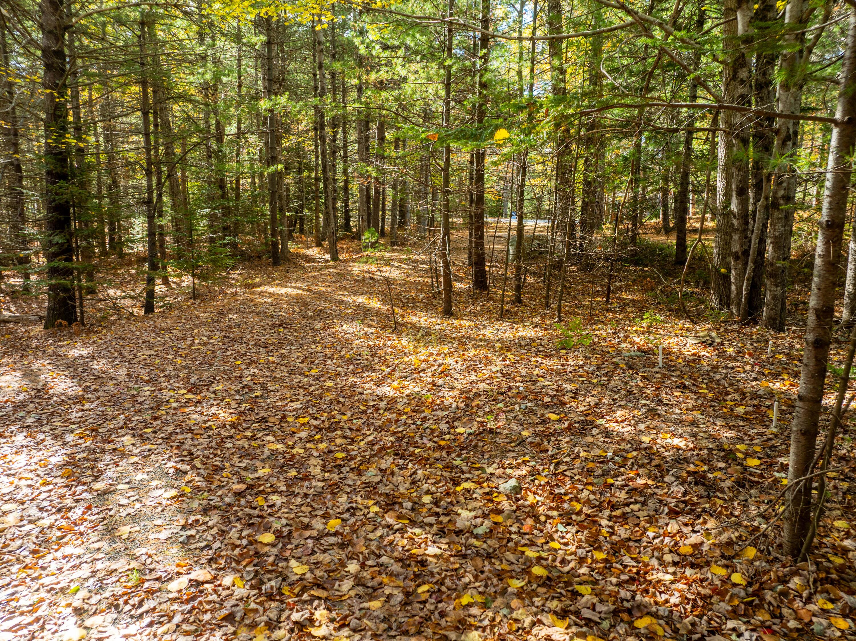 12 Hall Quarry Road Mount Desert, ME 04660 - Photo 48 of 48 12 Hall Quarry-private driveway to town