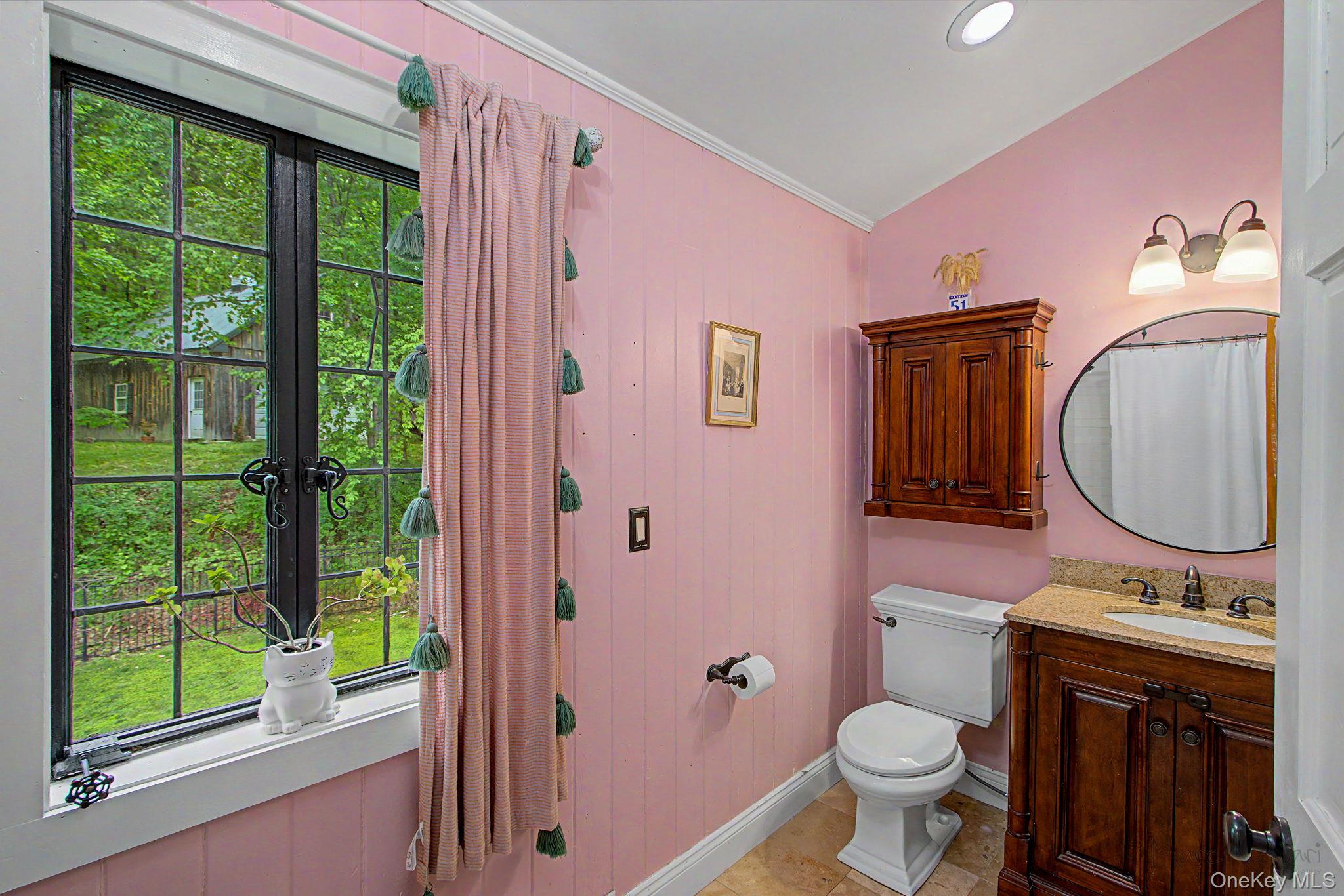 168 Old Rte 55 Pawling, NY 12564 - Photo 15 of 43 a bathroom with a sink a toilet and a mirror