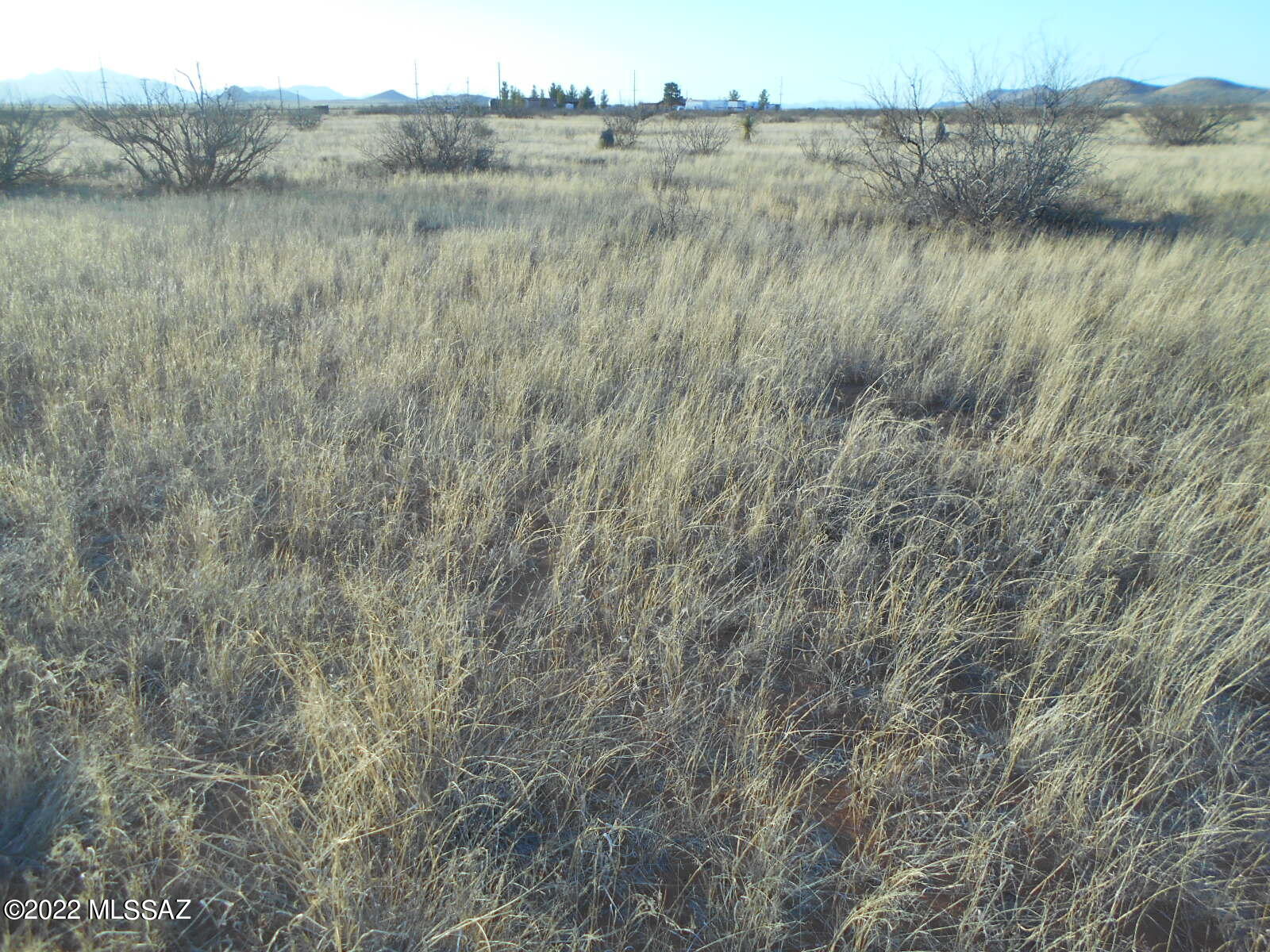 27.5 East Grassy Valley Road Elfrida, AZ 85610 - Photo 29 of 44