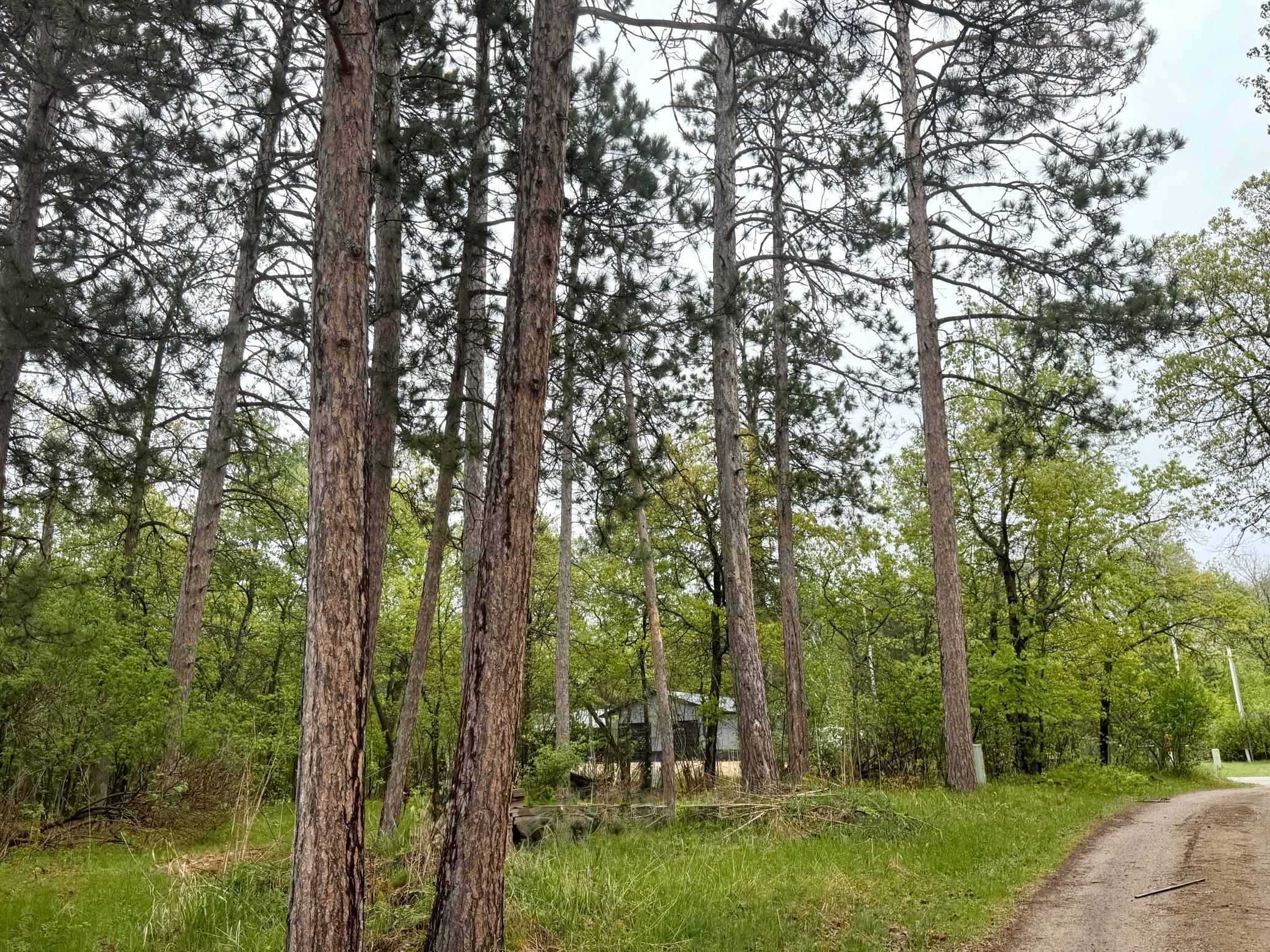 Tbd Lavinia Road Northeast Bemidji, MN 56601 - Photo 1 of 1 Gallery Image 1