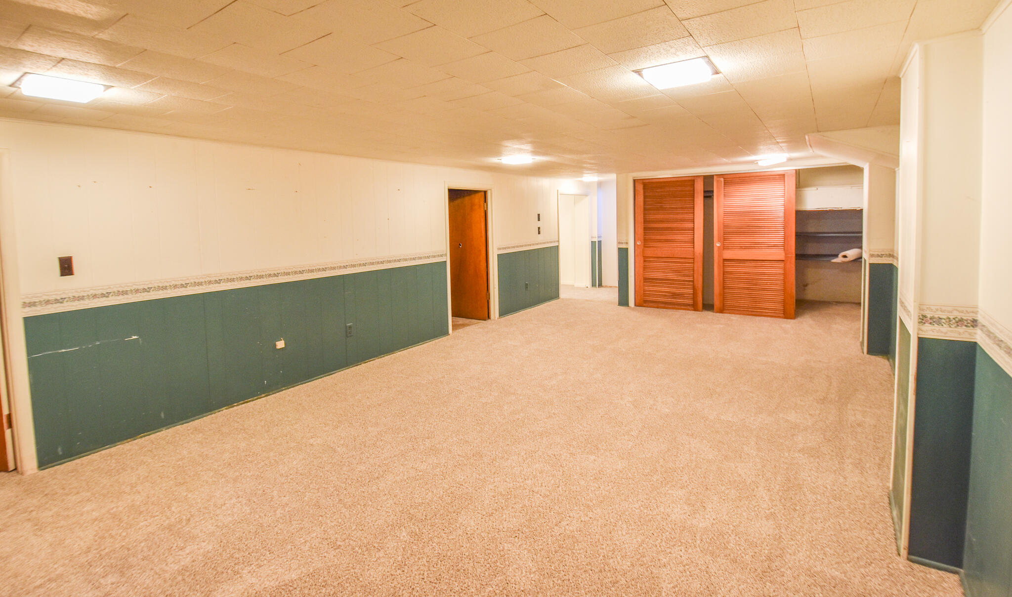 44 Berry Street Quincy, MI 49082 - Photo 28 of 39 DSC_0048