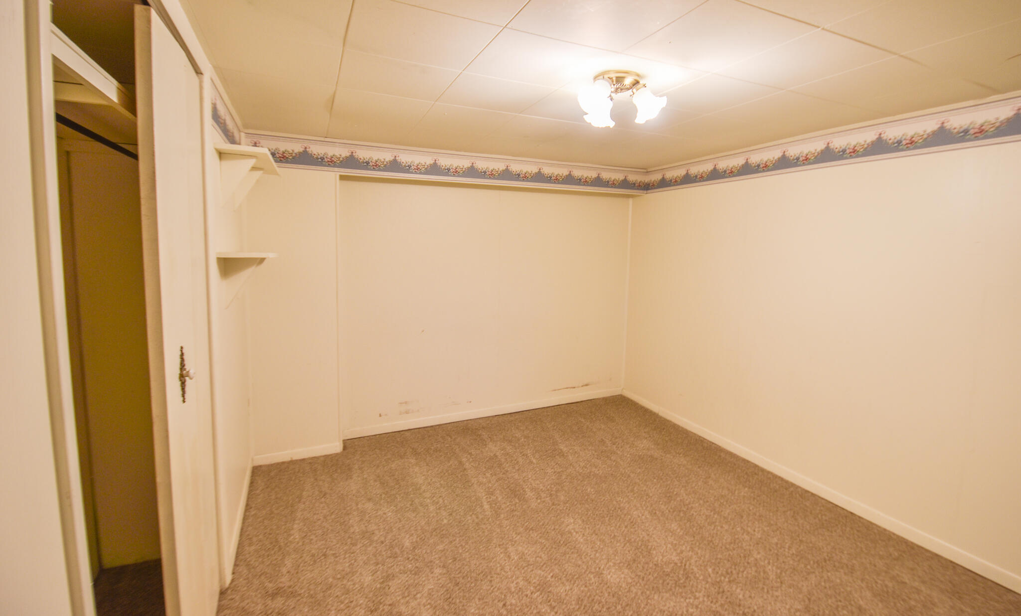 44 Berry Street Quincy, MI 49082 - Photo 32 of 39 DSC_0056