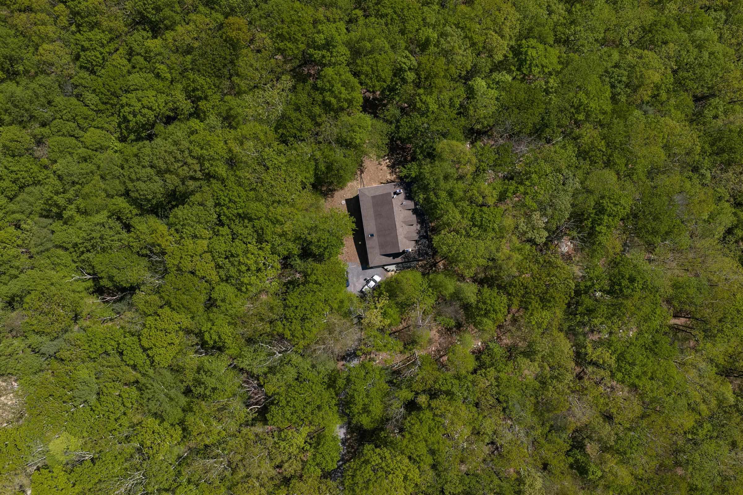 151 Stonebrook Road Amherst, VA 24521 - Photo 6 of 74 No lack of fresh Oxygen at this home!
