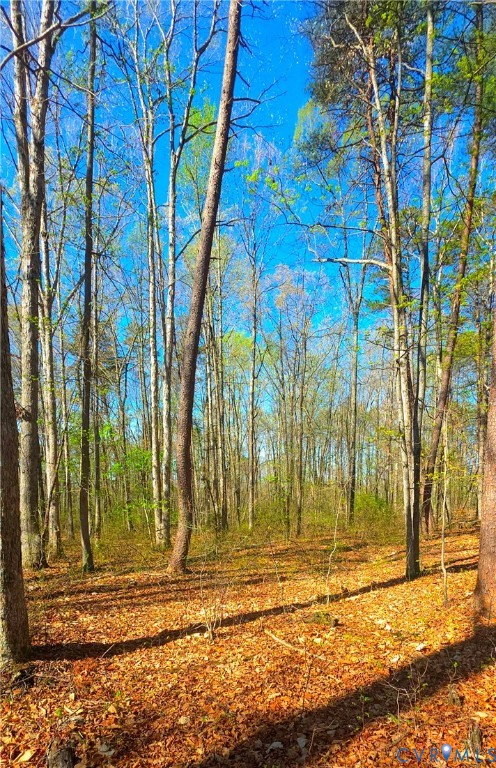 13476 Post Oak Road Spotsylvania, VA 22551 - Photo 11 of 16