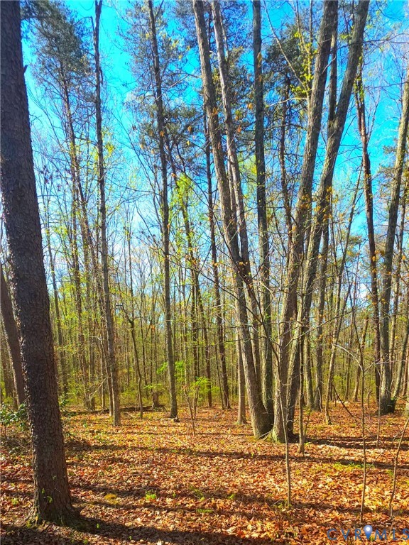13476 Post Oak Road Spotsylvania, VA 22551 - Photo 12 of 16