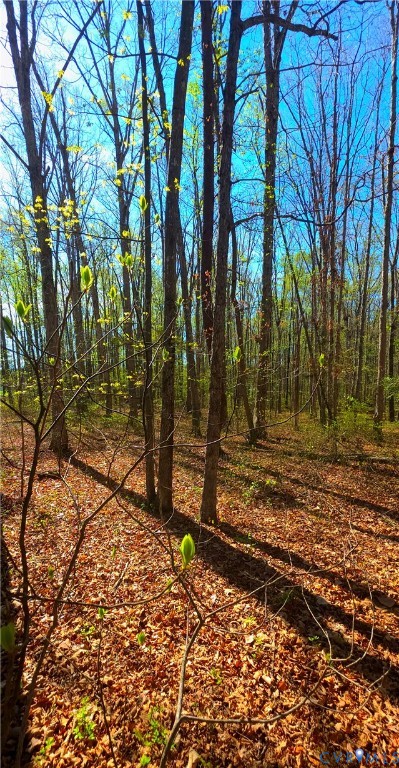 13476 Post Oak Road Spotsylvania, VA 22551 - Photo 14 of 16