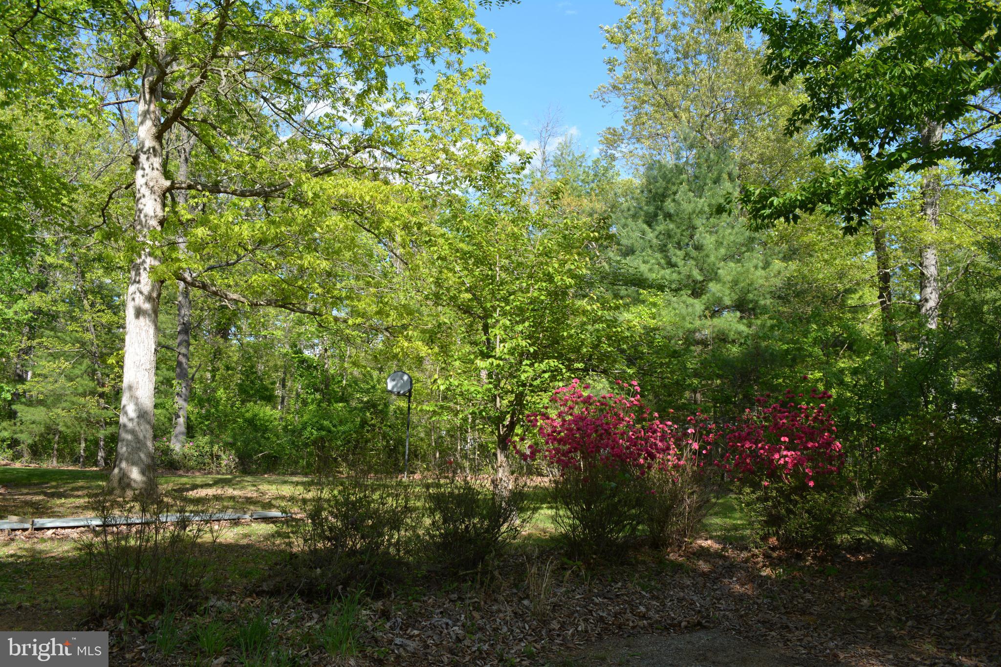 6278 Howellsville Road Front Royal, VA 22630 - Photo 66 of 93