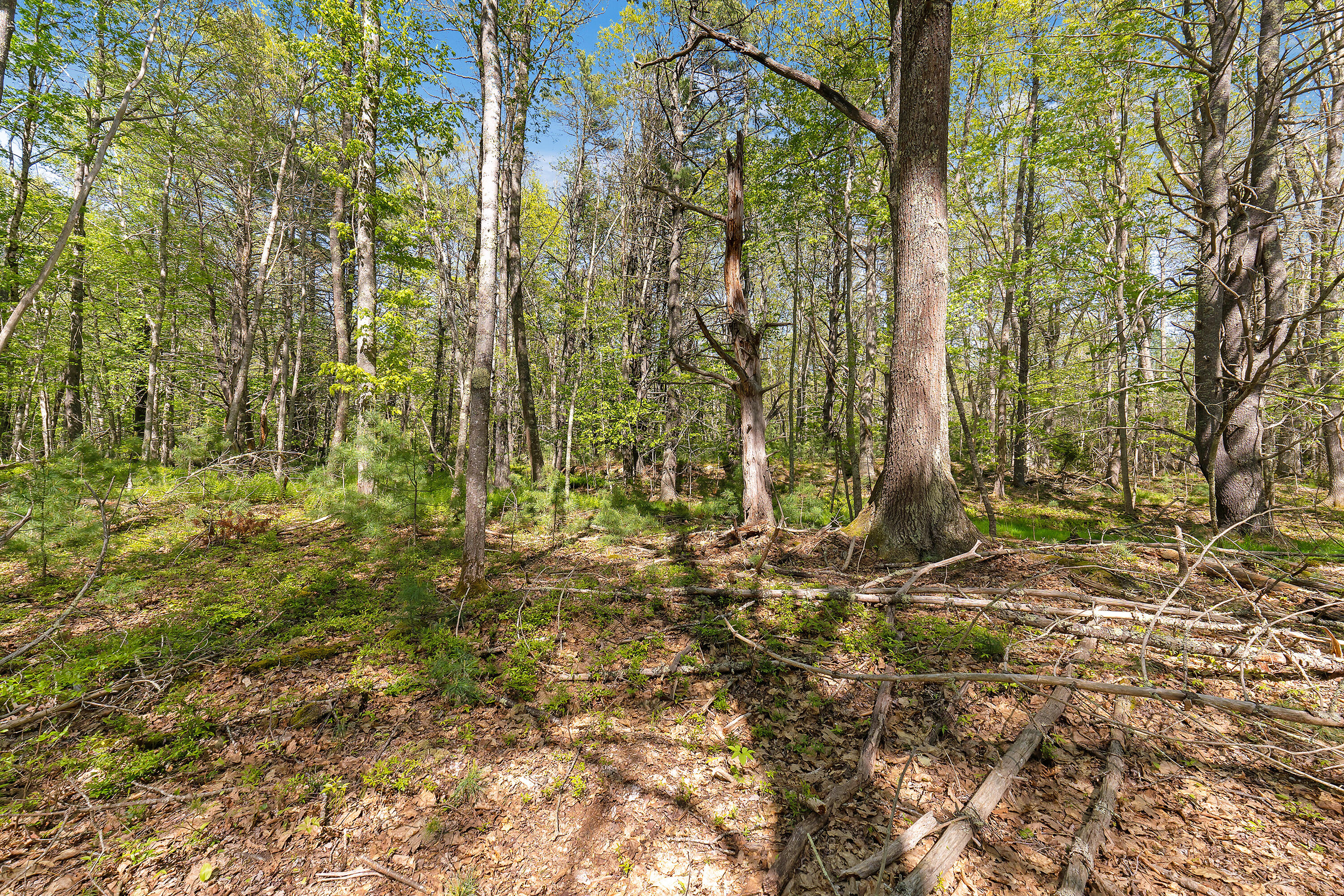 17-1 Bald Head Road Bath, ME 04530 - Photo 15 of 23