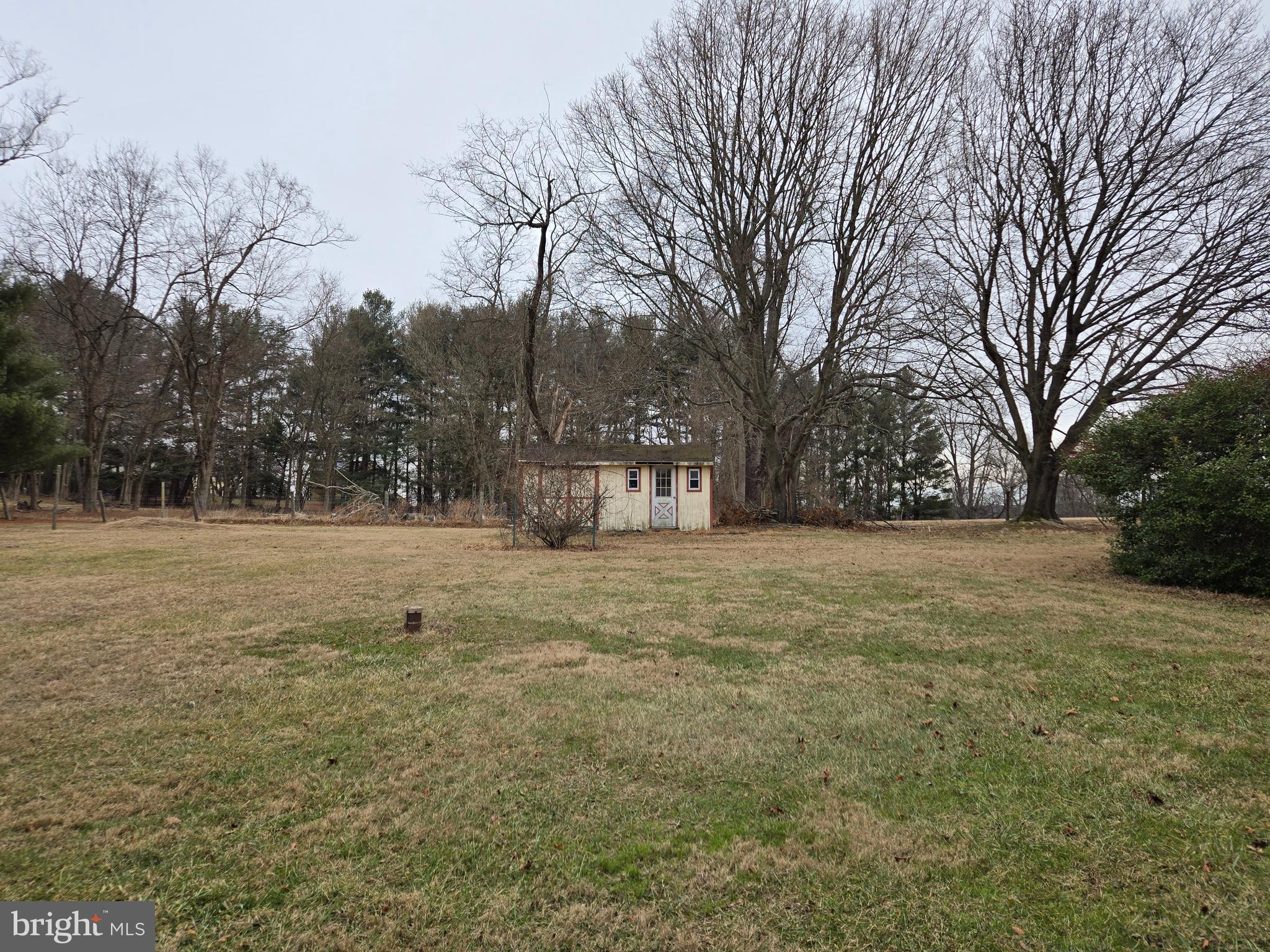 1630 Liberty Grove Road Conowingo, MD 21918 - Photo 18 of 18 a view of yard covered with trees