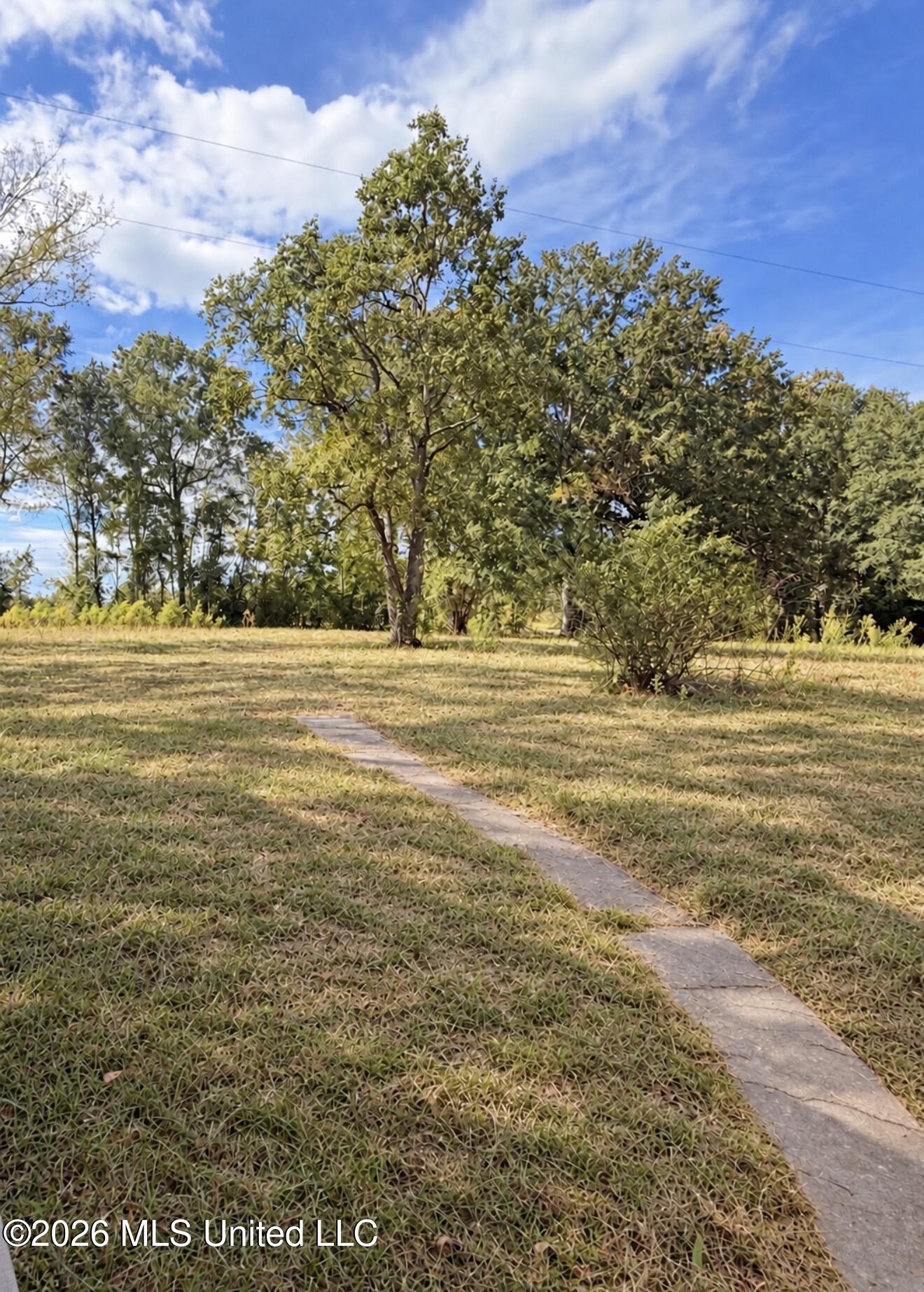 2122 Page Road Crystal Springs, MS 39059 - Photo 11 of 11 IMG_1816