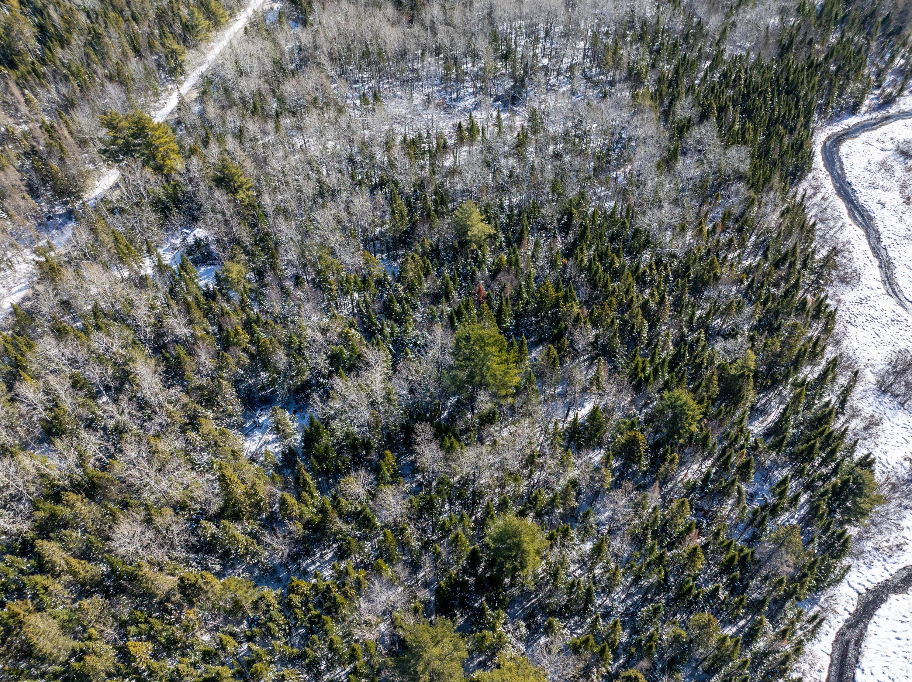 382 Woodland Road Princeton, ME 04668 - Photo 12 of 28 382 Woodland Road, Princeton (13 of 33)