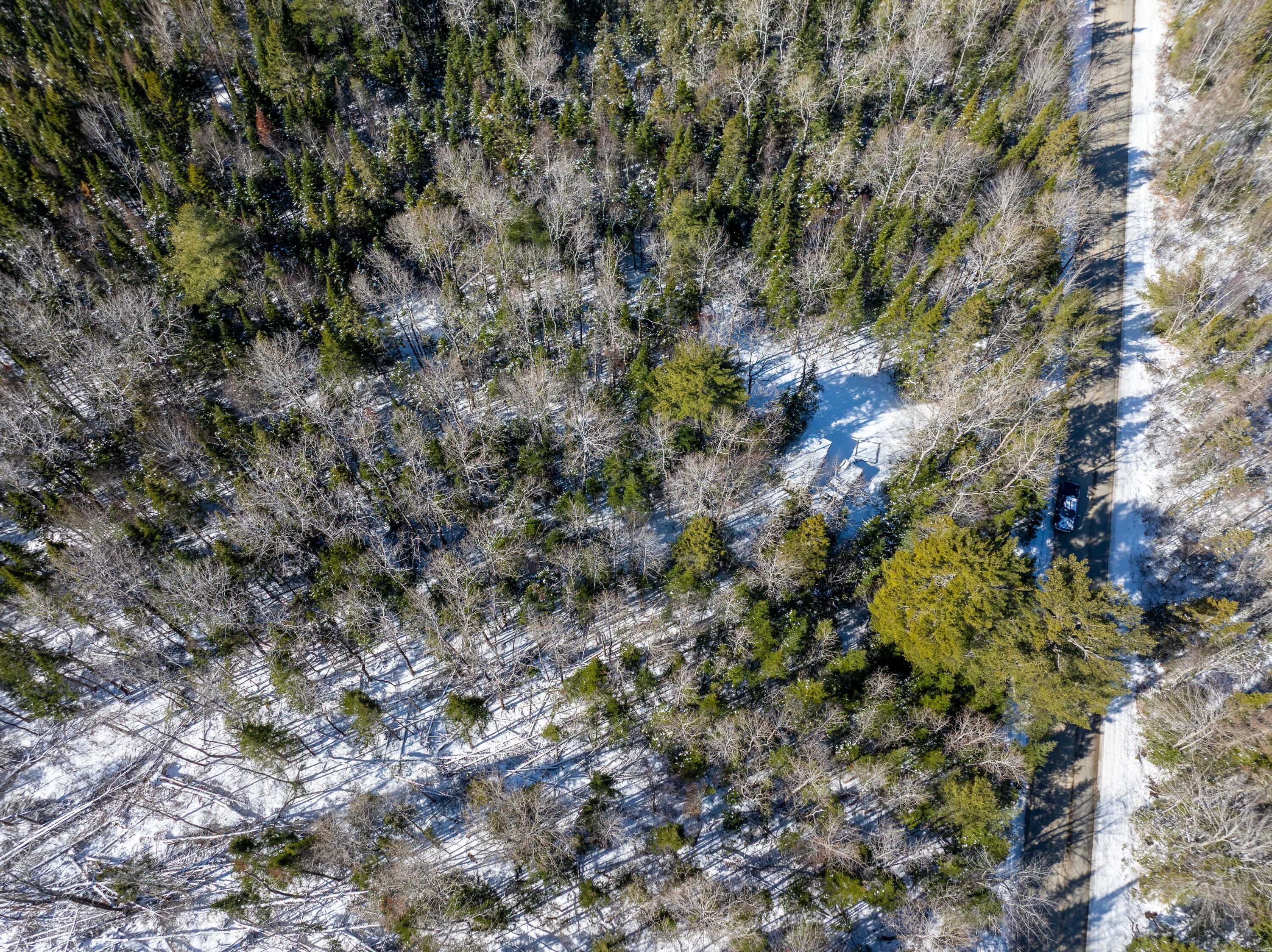 382 Woodland Road Princeton, ME 04668 - Photo 13 of 28 382 Woodland Road, Princeton (18 of 33)