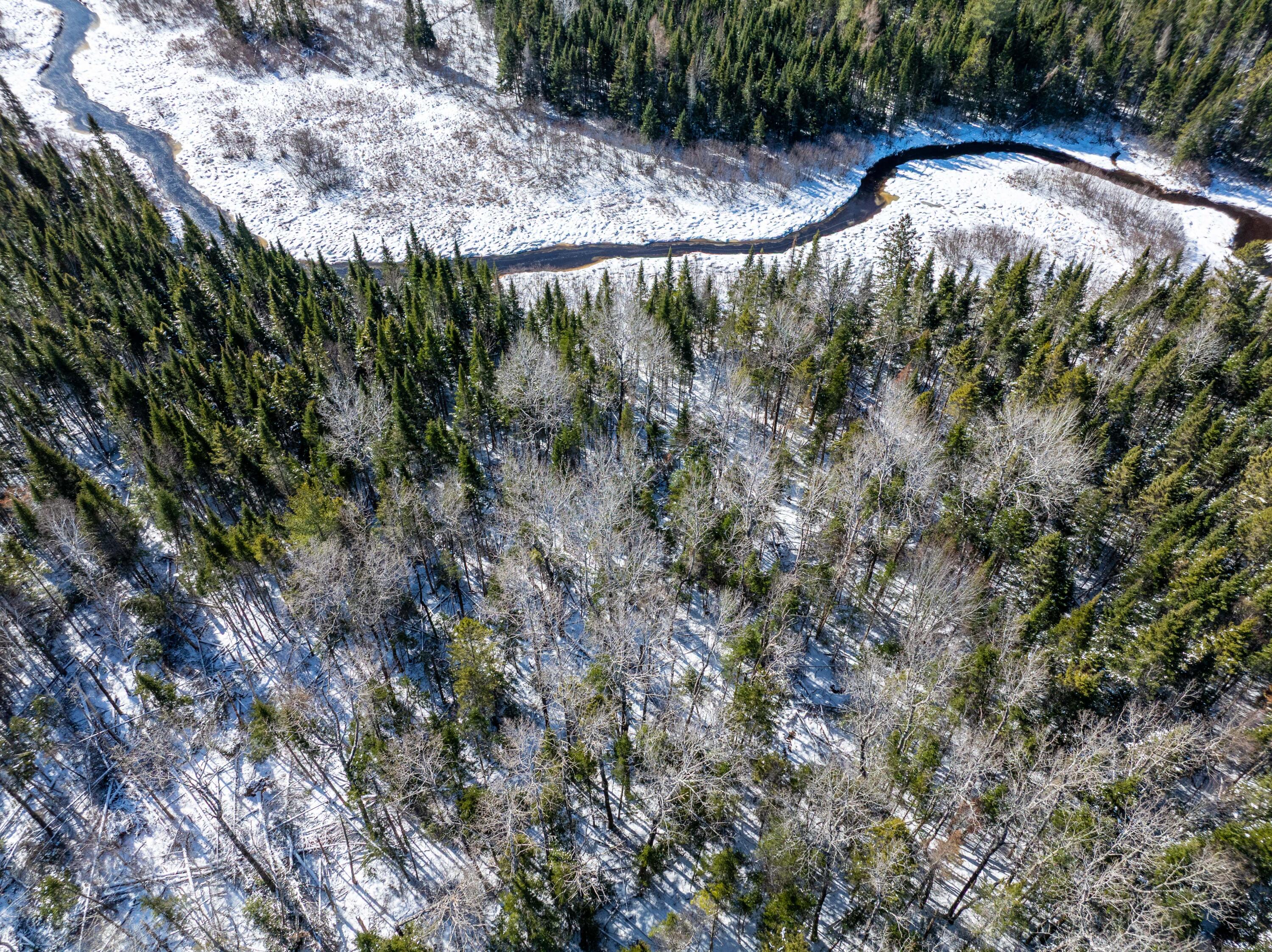 382 Woodland Road Princeton, ME 04668 - Photo 14 of 28 382 Woodland Road, Princeton (19 of 33)
