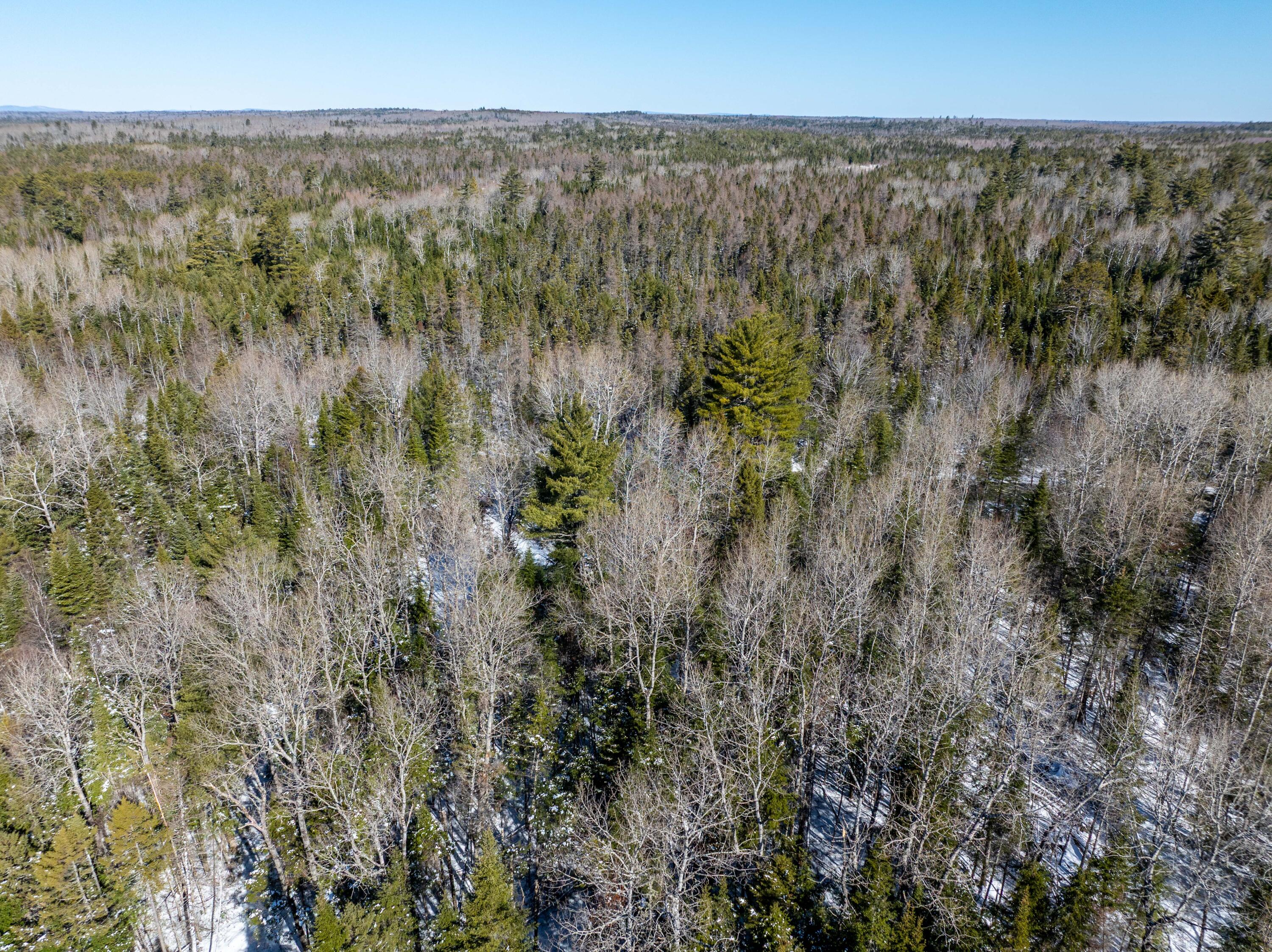 382 Woodland Road Princeton, ME 04668 - Photo 15 of 28 382 Woodland Road, Princeton (20 of 33)