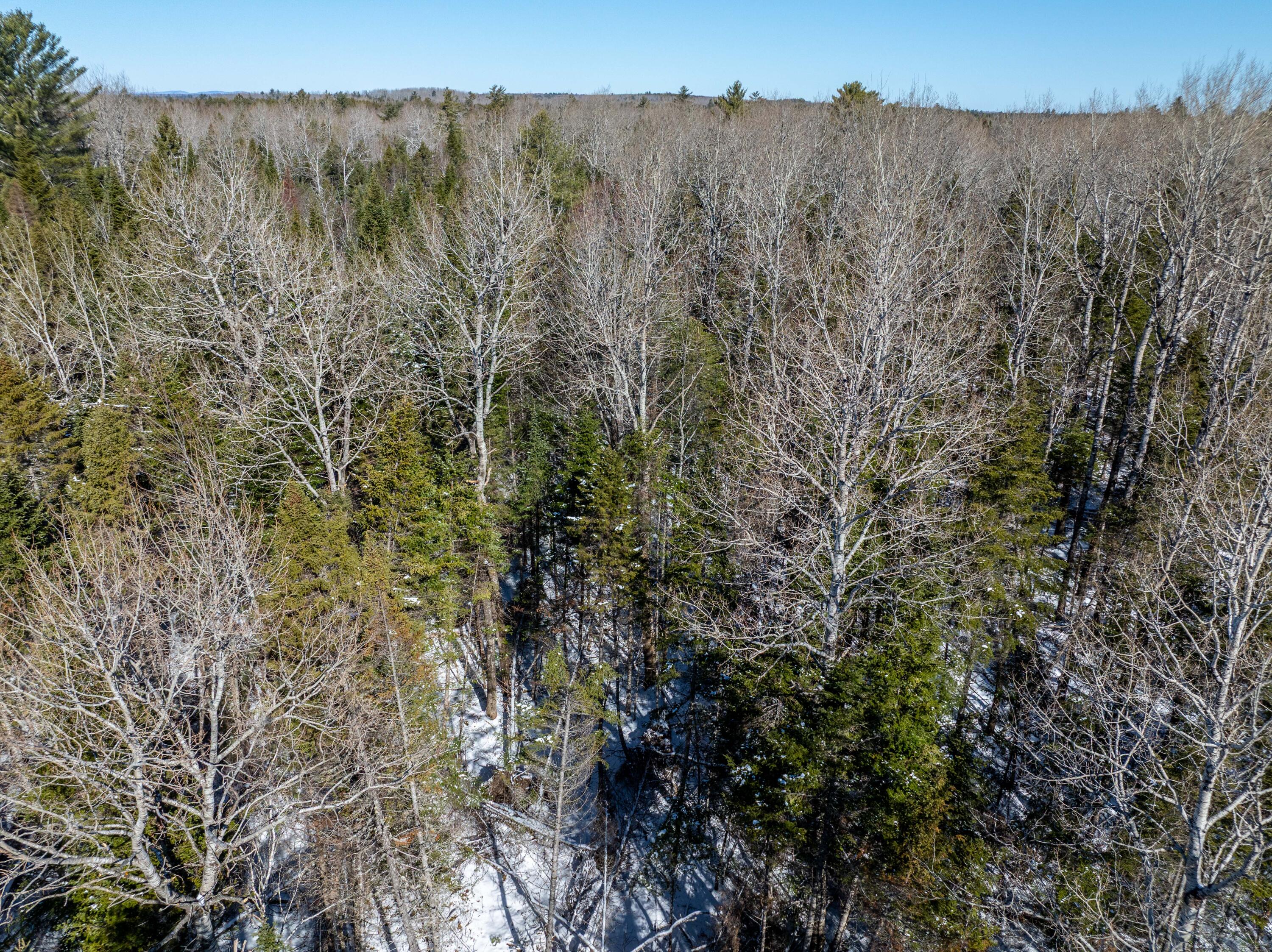 382 Woodland Road Princeton, ME 04668 - Photo 20 of 28 382 Woodland Road, Princeton (25 of 33)