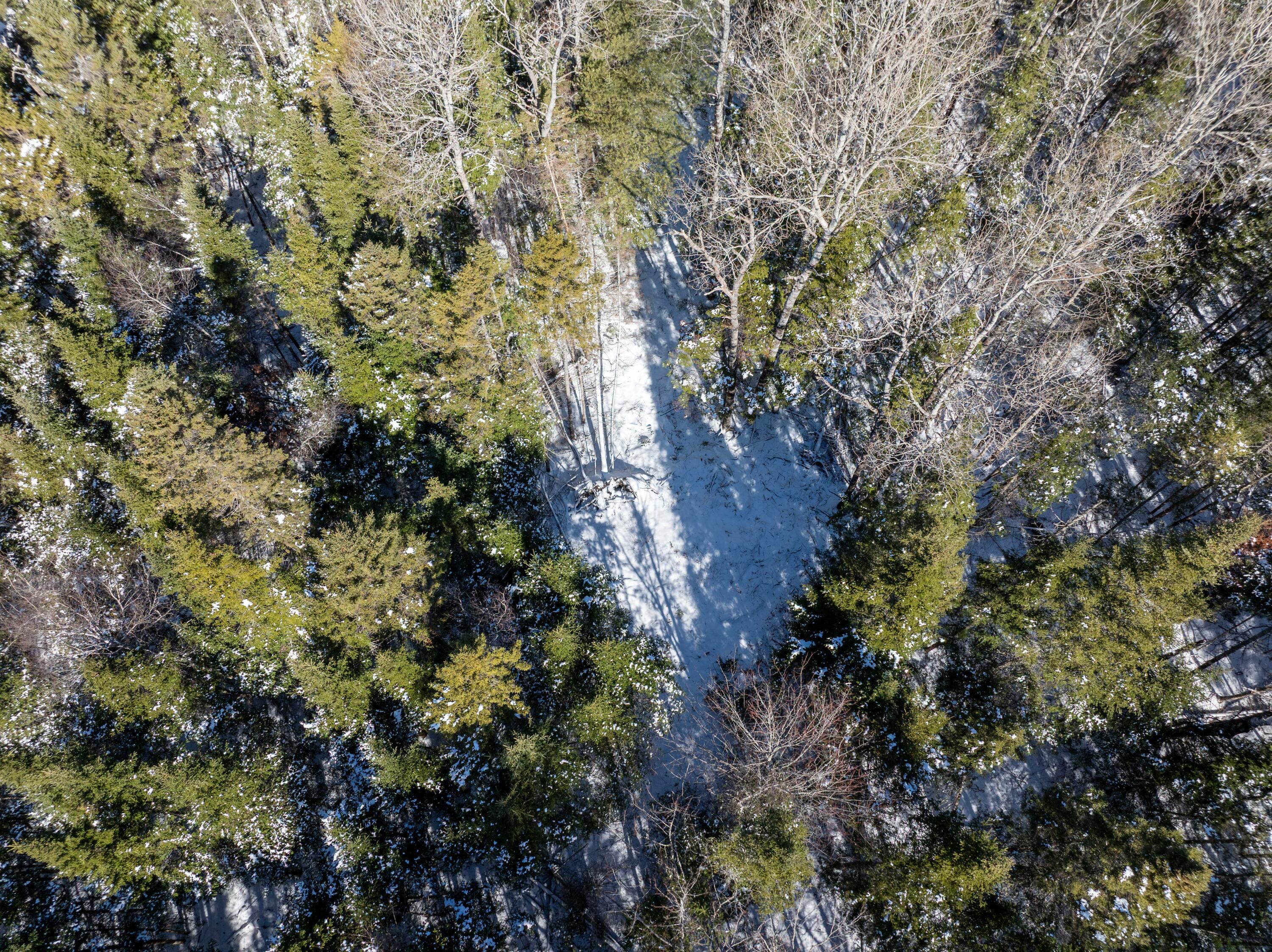 382 Woodland Road Princeton, ME 04668 - Photo 22 of 28 382 Woodland Road, Princeton (27 of 33)
