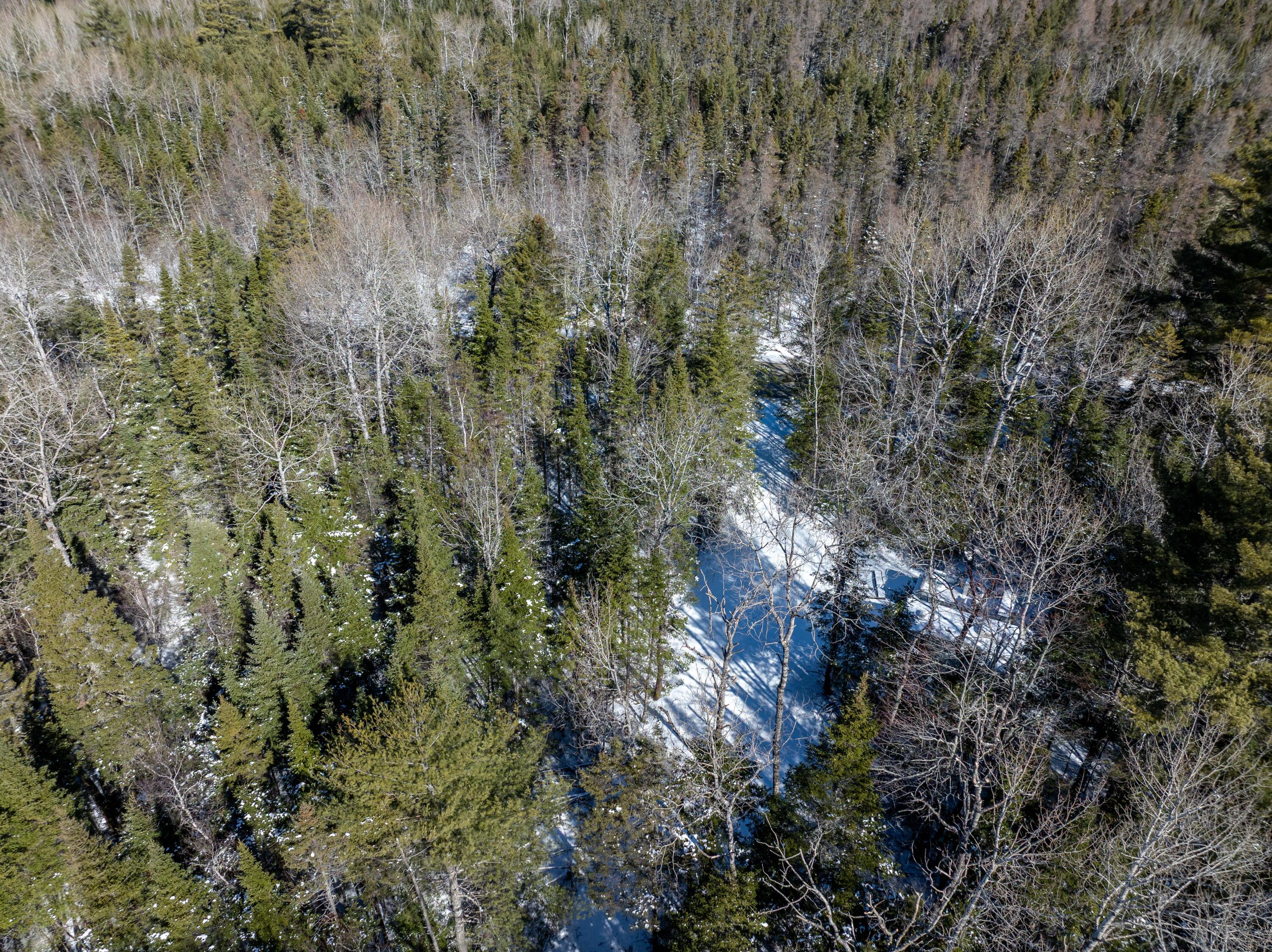 382 Woodland Road Princeton, ME 04668 - Photo 23 of 28 382 Woodland Road, Princeton (28 of 33)
