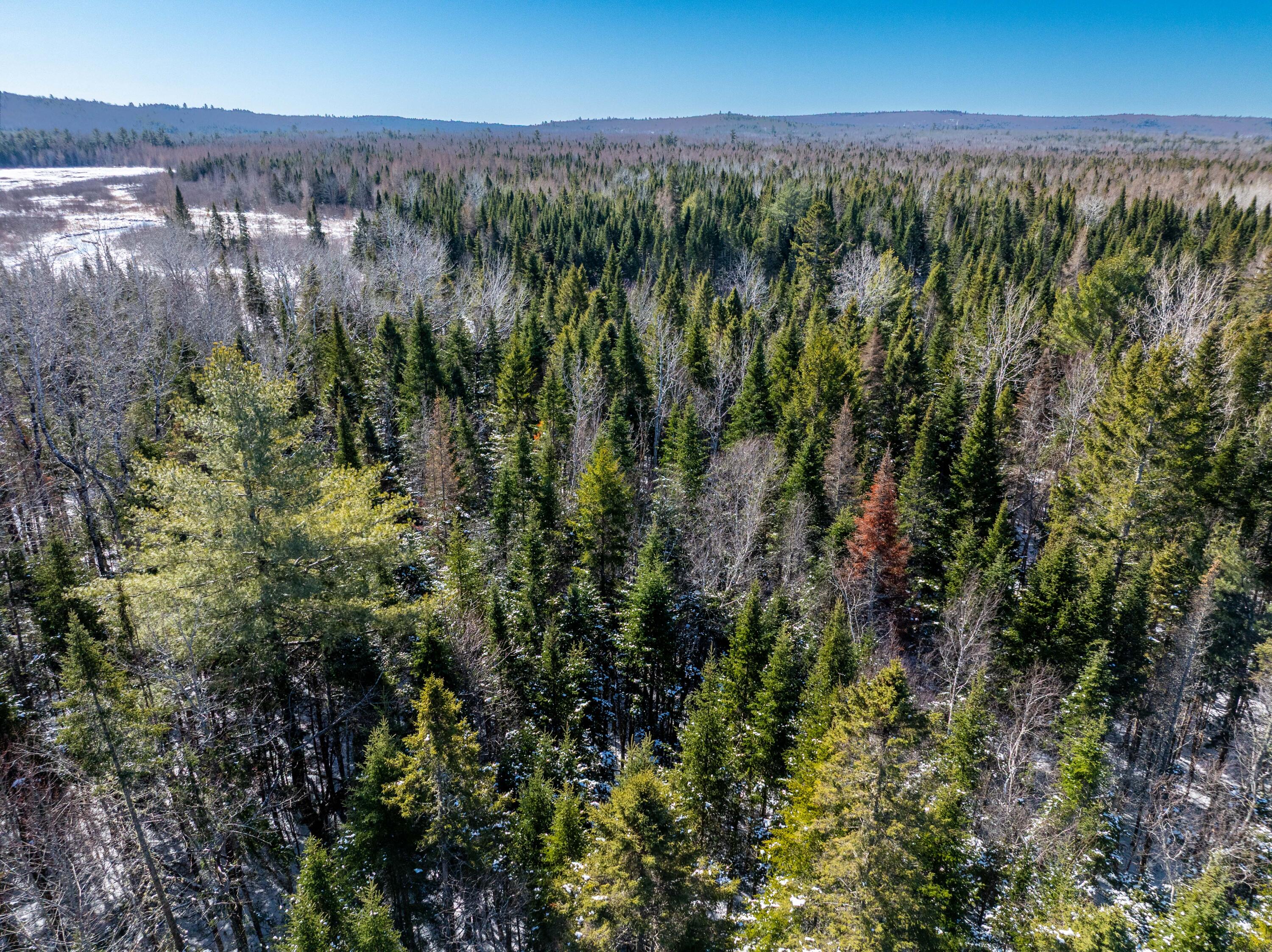 382 Woodland Road Princeton, ME 04668 - Photo 24 of 28 382 Woodland Road, Princeton (29 of 33)