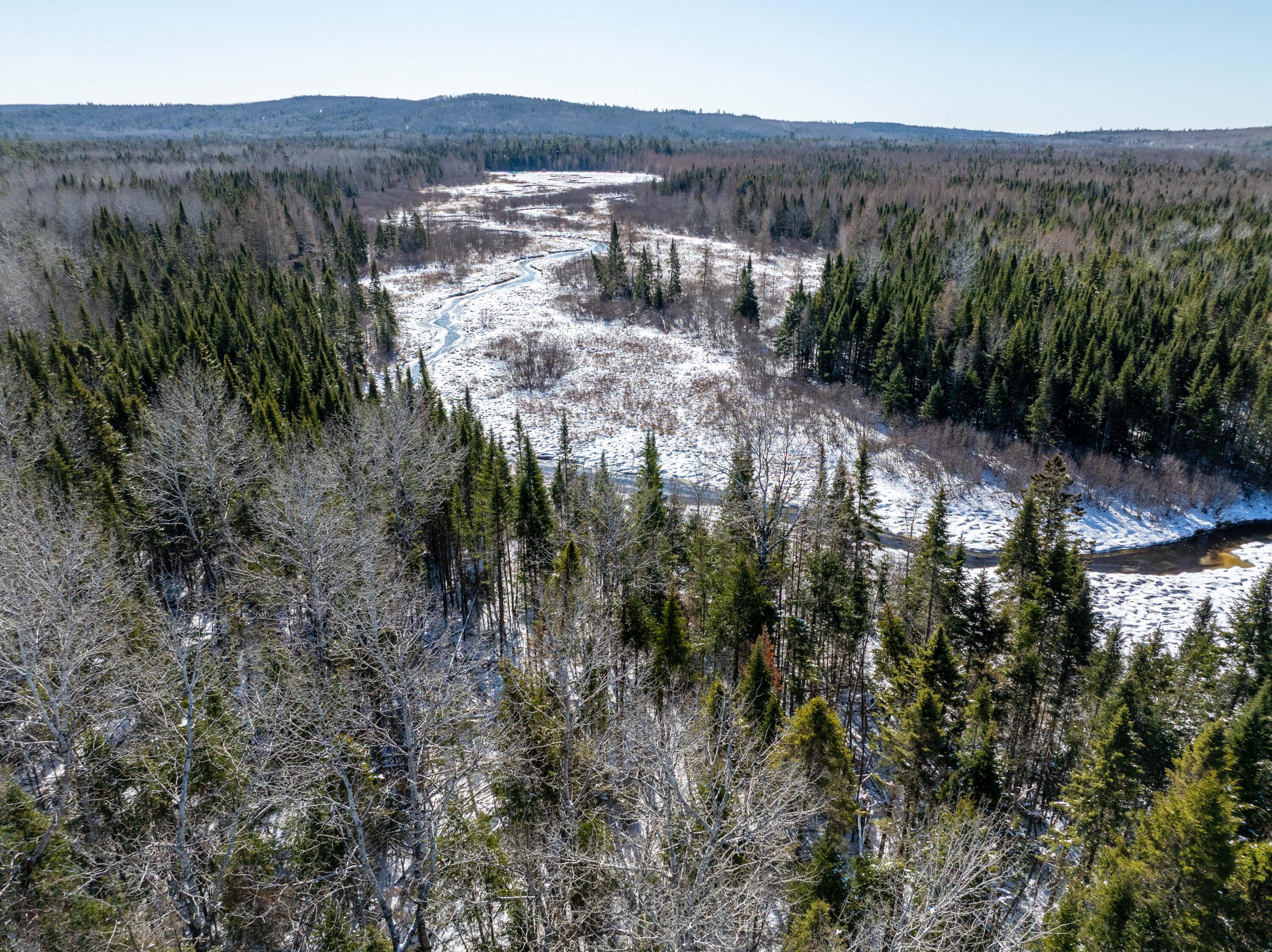 382 Woodland Road Princeton, ME 04668 - Photo 25 of 28 382 Woodland Road, Princeton (30 of 33)