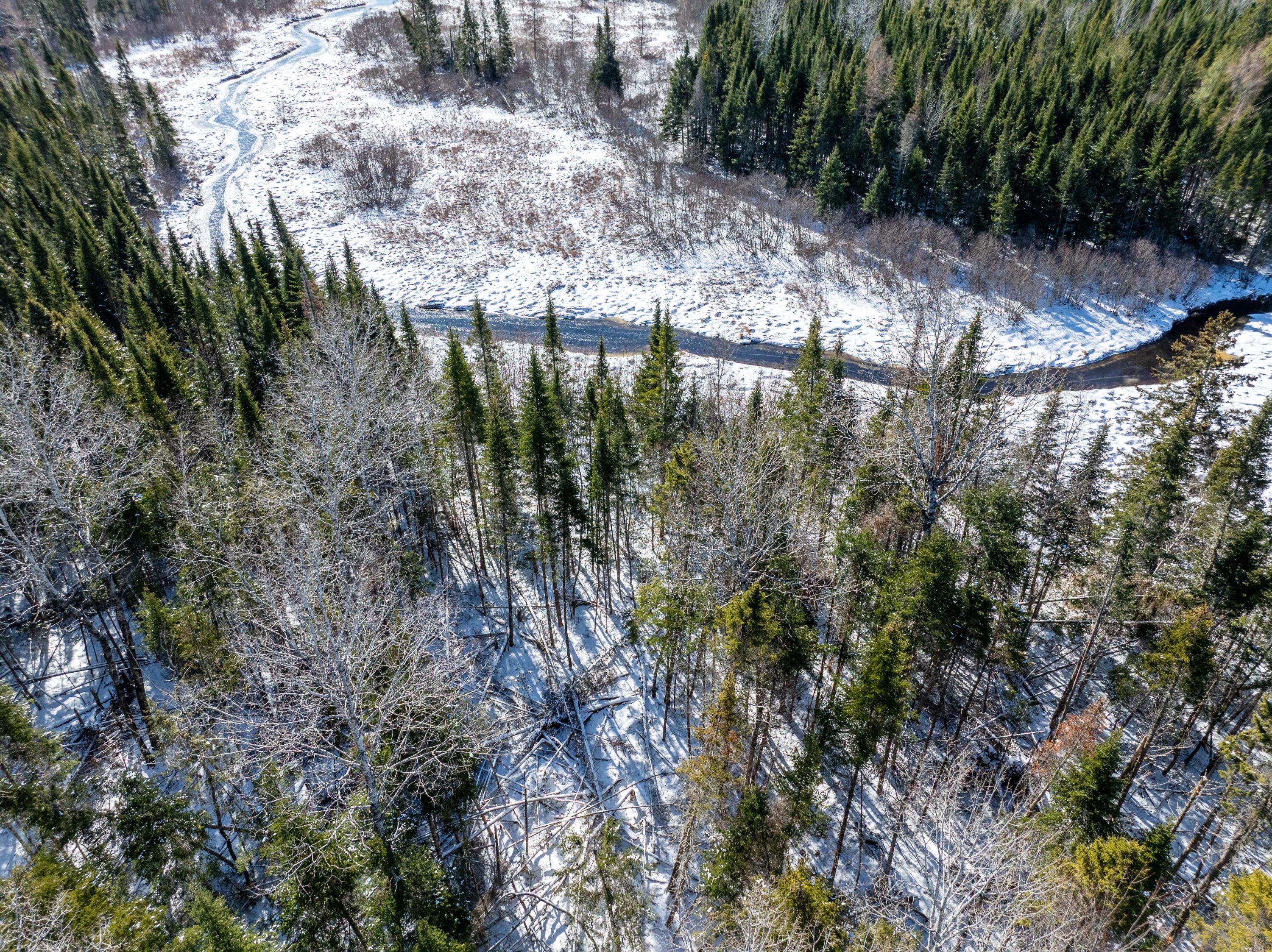 382 Woodland Road Princeton, ME 04668 - Photo 26 of 28 382 Woodland Road, Princeton (31 of 33)