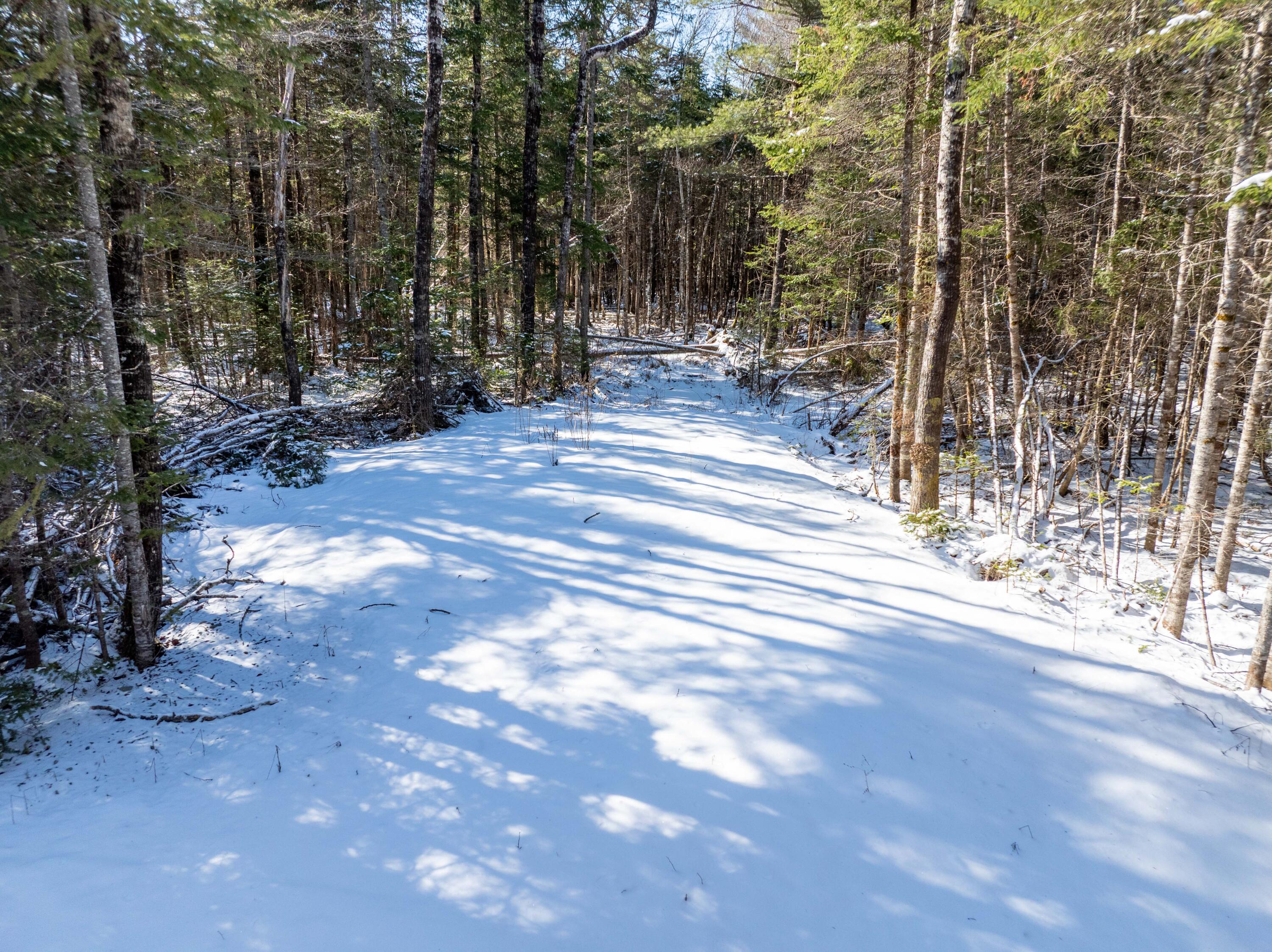 382 Woodland Road Princeton, ME 04668 - Photo 4 of 28 382 Woodland Road, Princeton (2 of 33)