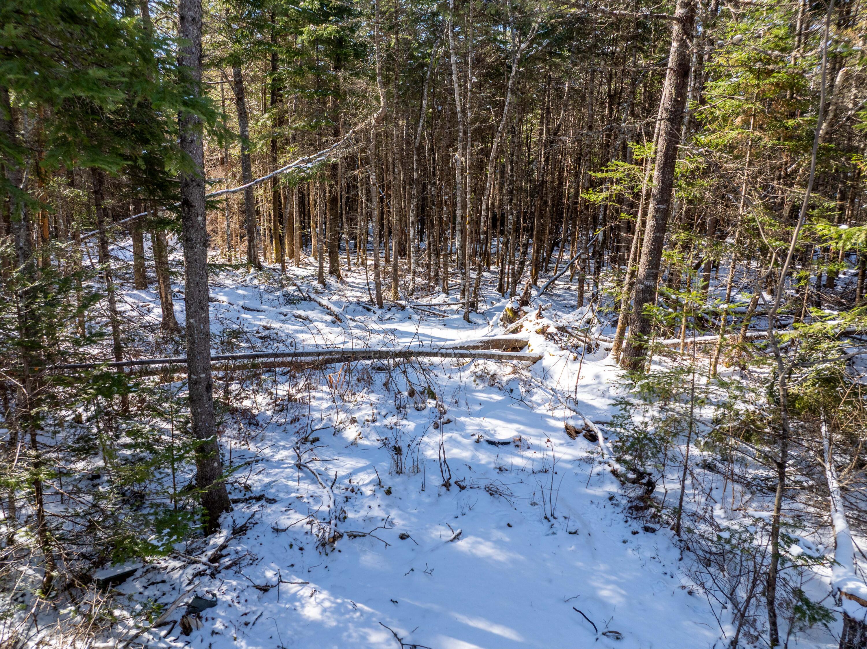 382 Woodland Road Princeton, ME 04668 - Photo 5 of 28 382 Woodland Road, Princeton (3 of 33)