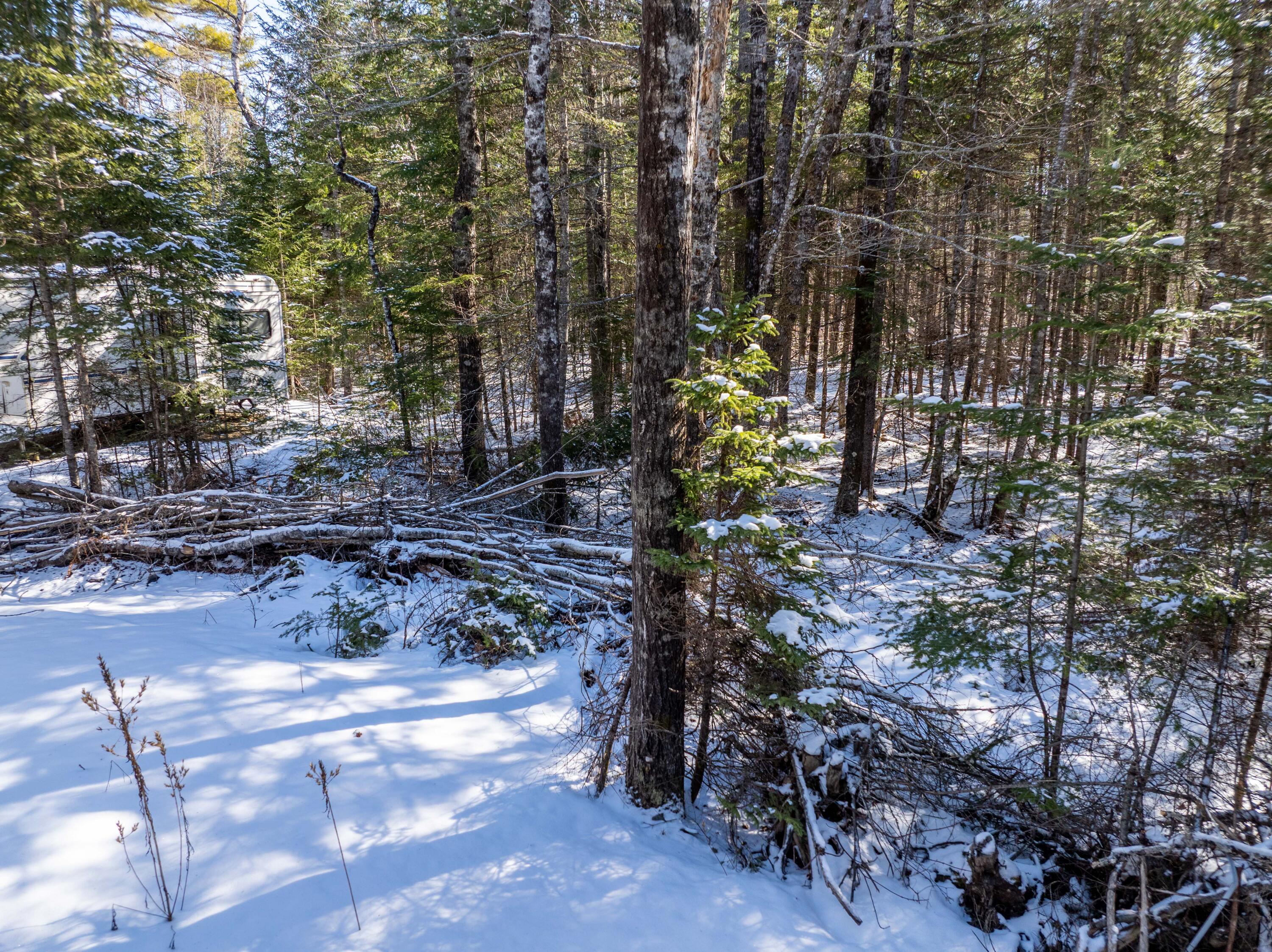 382 Woodland Road Princeton, ME 04668 - Photo 6 of 28 382 Woodland Road, Princeton (4 of 33)