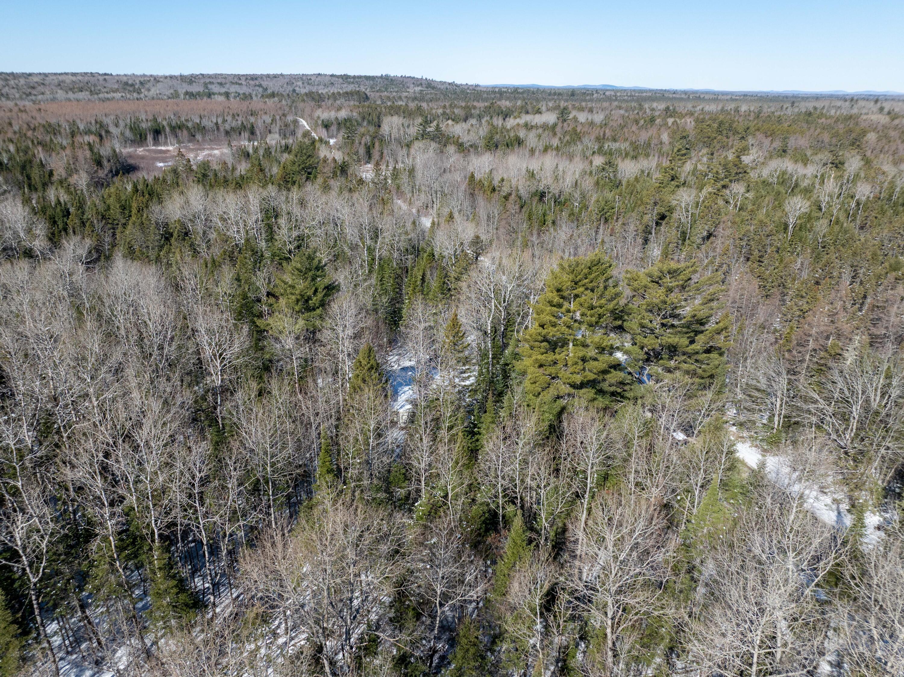382 Woodland Road Princeton, ME 04668 - Photo 9 of 28 382 Woodland Road, Princeton (8 of 33)