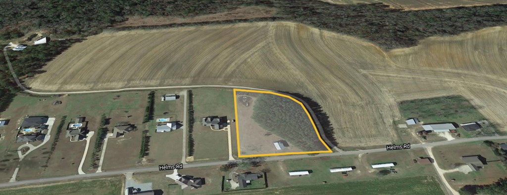Lot 1 Helms Road Dothan, AL 36301 - Photo 2 of 12