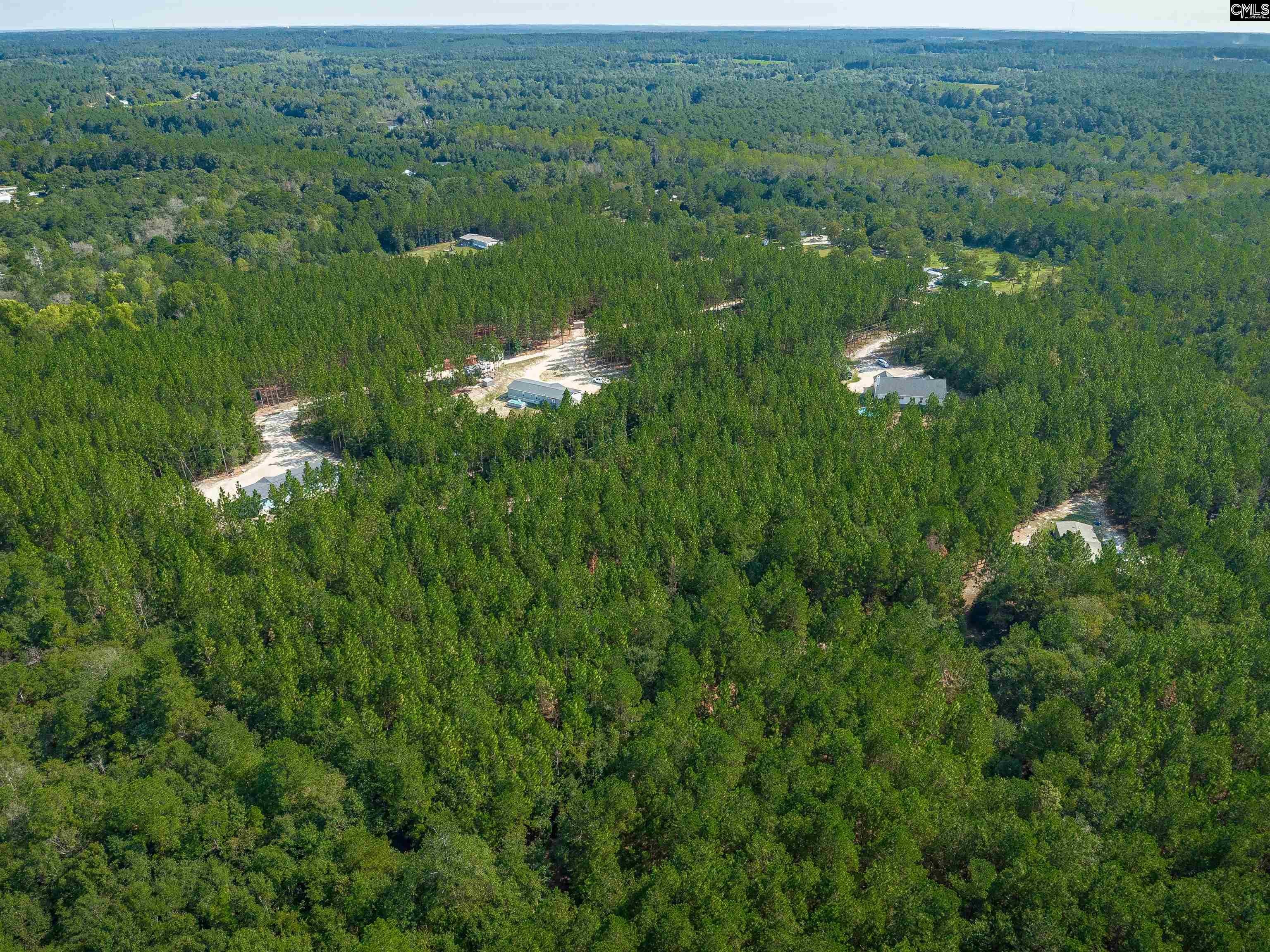 1108 Cotton Branch Road Leesville, SC 29070 - Photo 69 of 72 Gallery Image 69