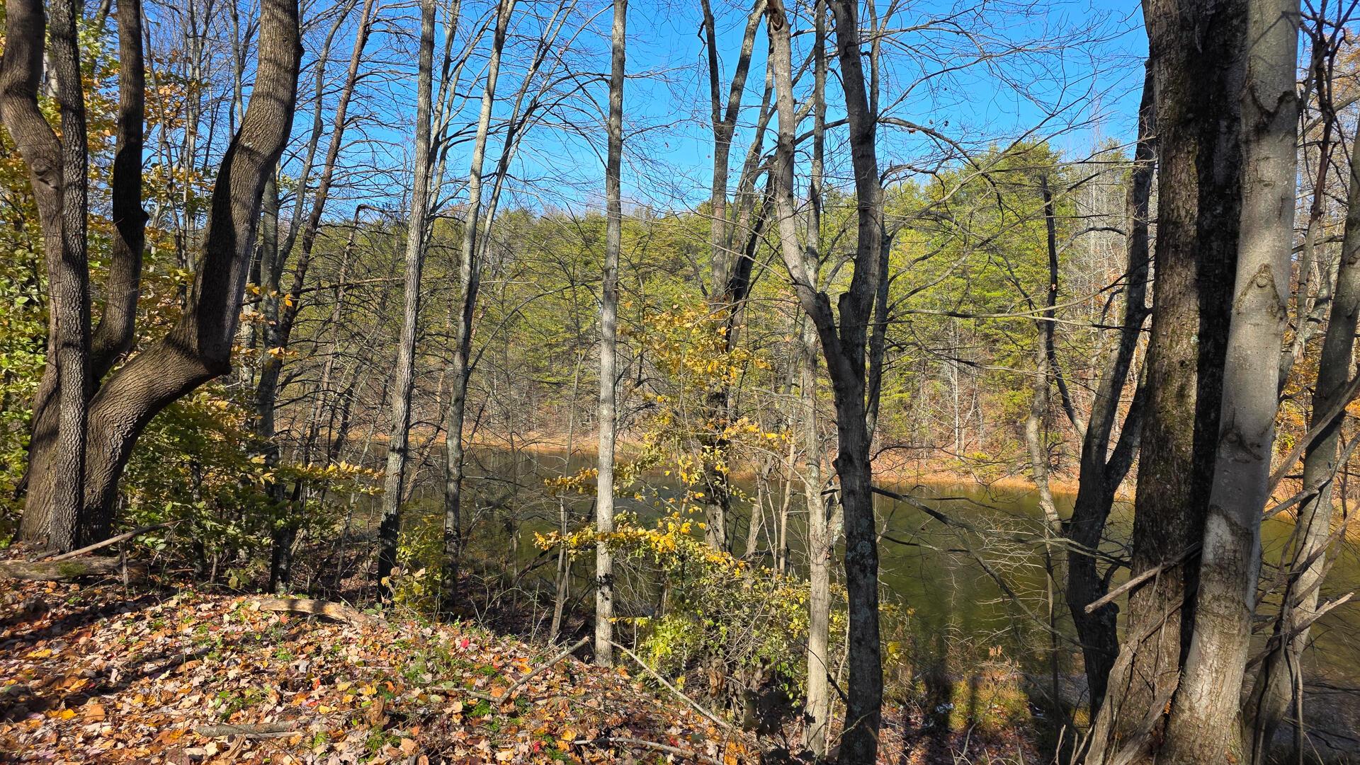 830 Nibert Road, Unit PONDS POPLAR RIDGE TRACT 3) Gallipolis, OH 45631 - Photo 13 of 23 CT-13