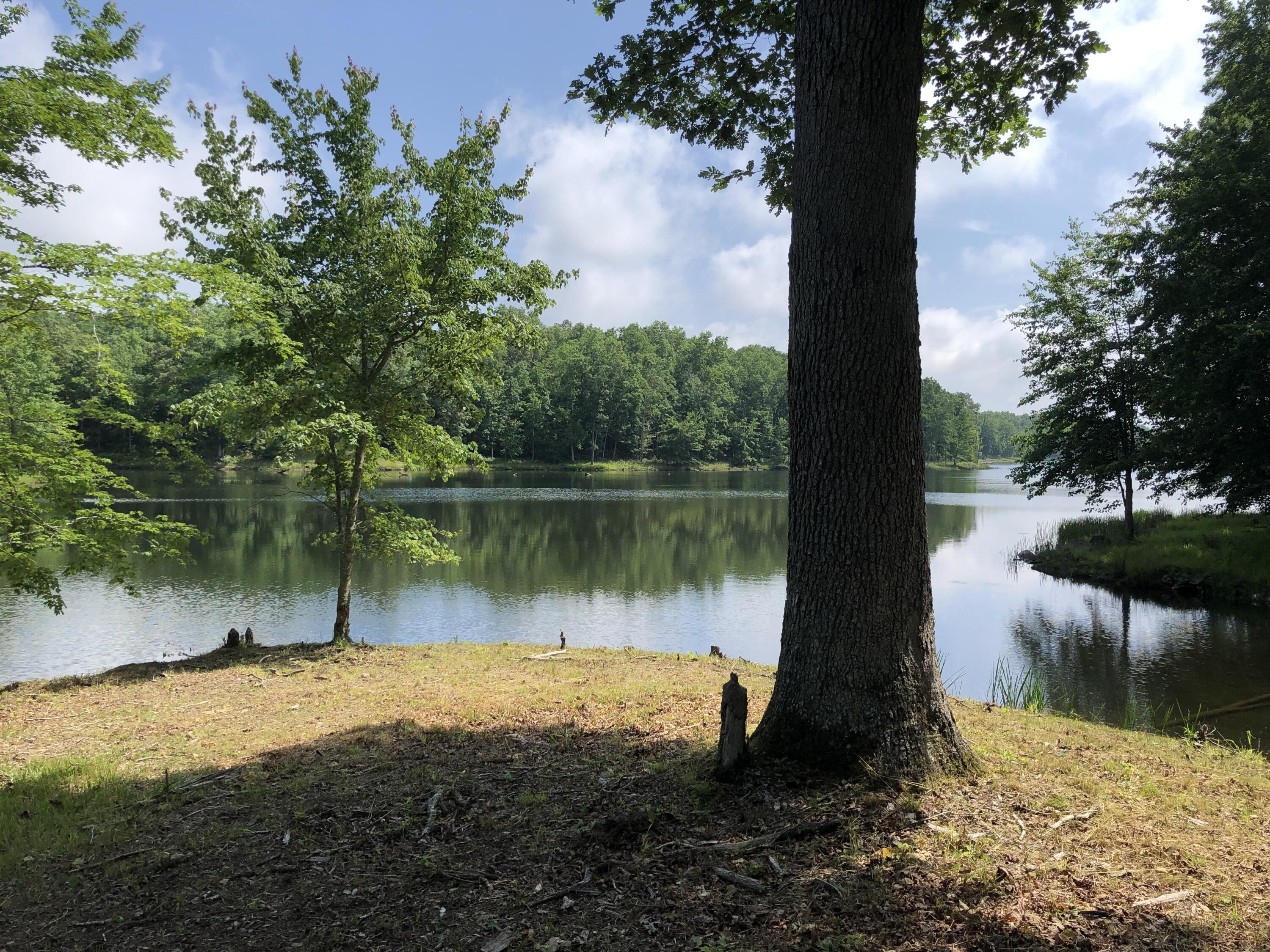 63 Long Branch Road, Unit 63 Spencer, TN 38585 - Photo 1 of 11 90348B45-AF50-4D15-A65D-DDB54F505467