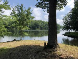 63 Long Branch Road, Unit 63 Spencer, TN 38585 - Photo 11 of 11 image