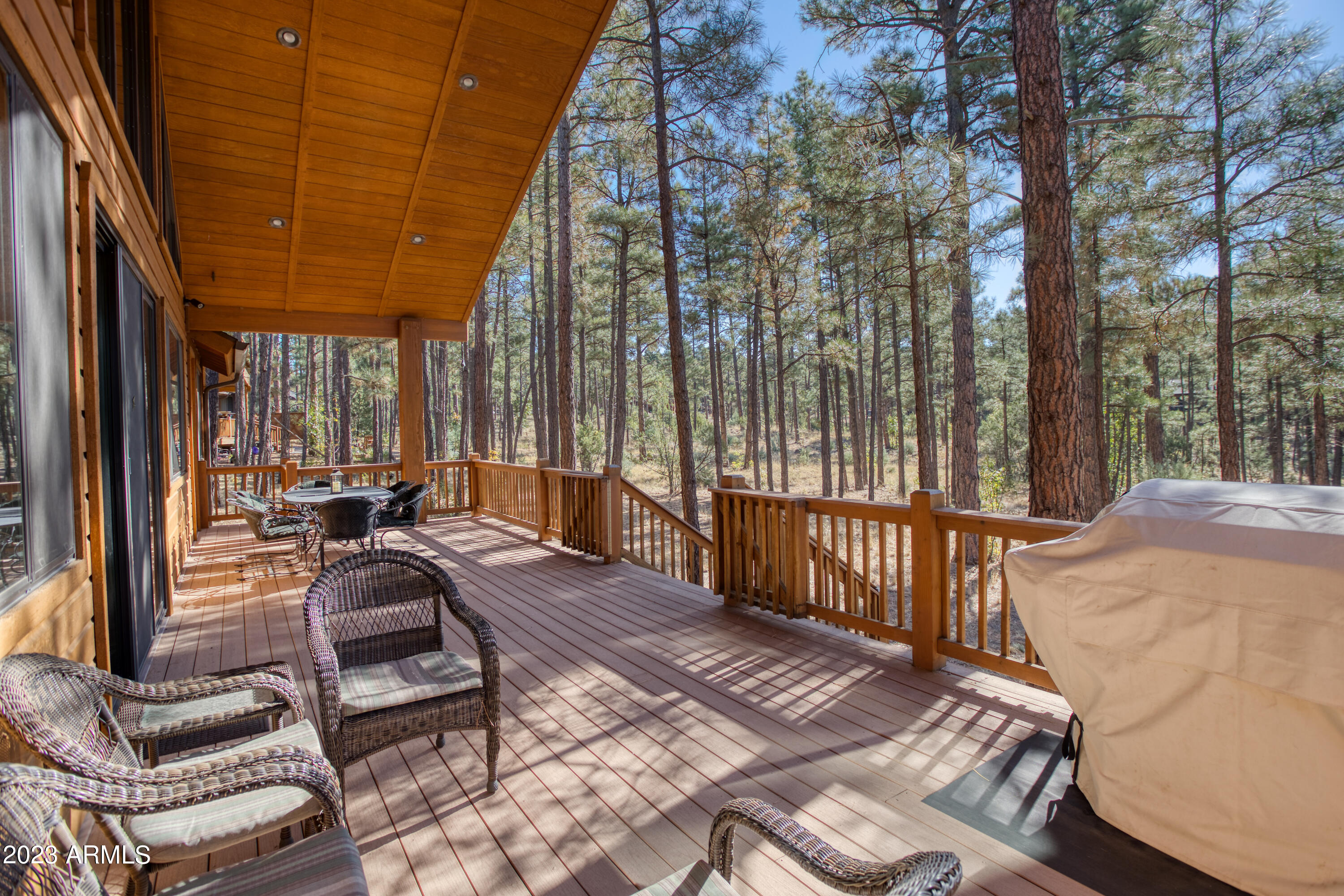 4761 West Hawthorn Road Show Low, AZ 85901 - Photo 27 of 37 Back Deck