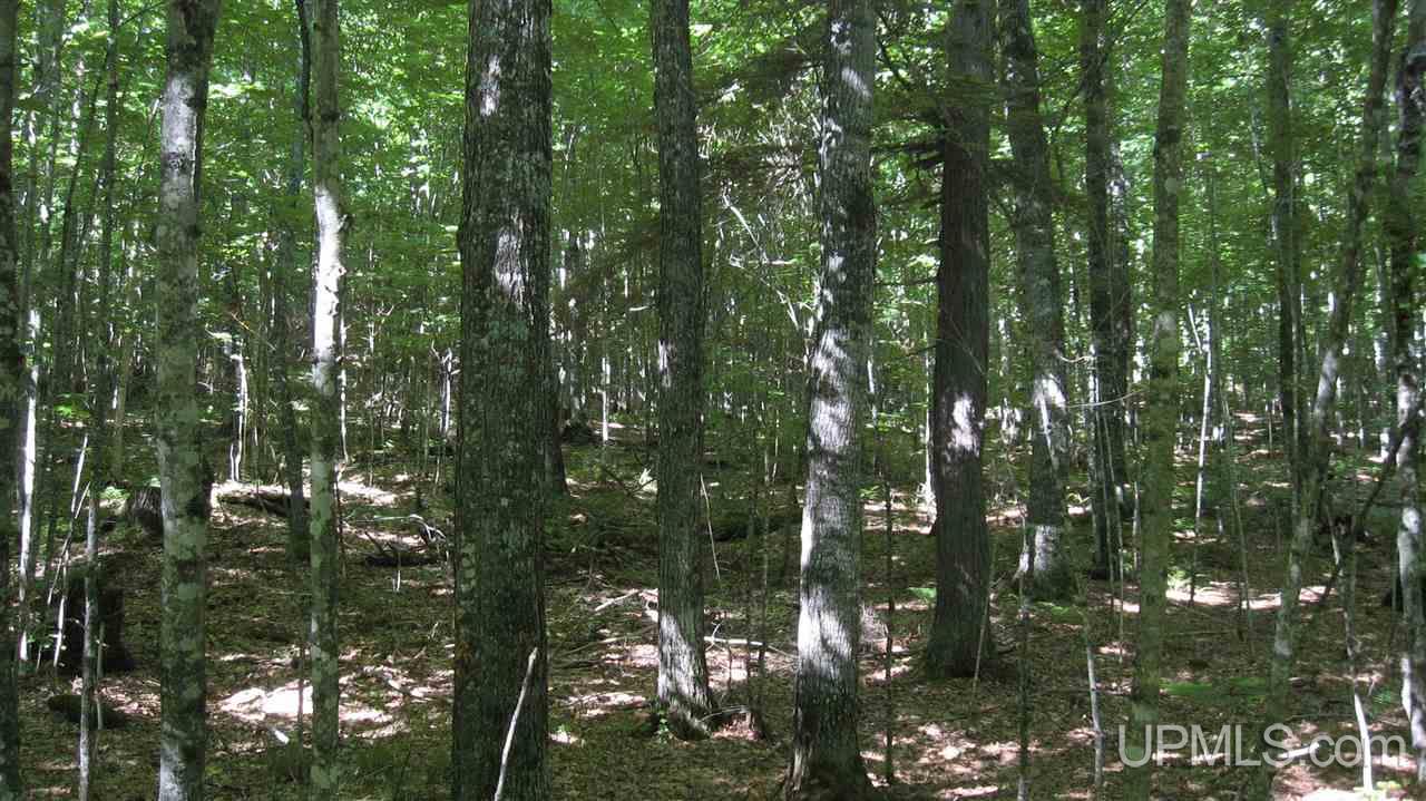 0 Big Bay Road Negaunee, MI 49866 - Photo 7 of 13