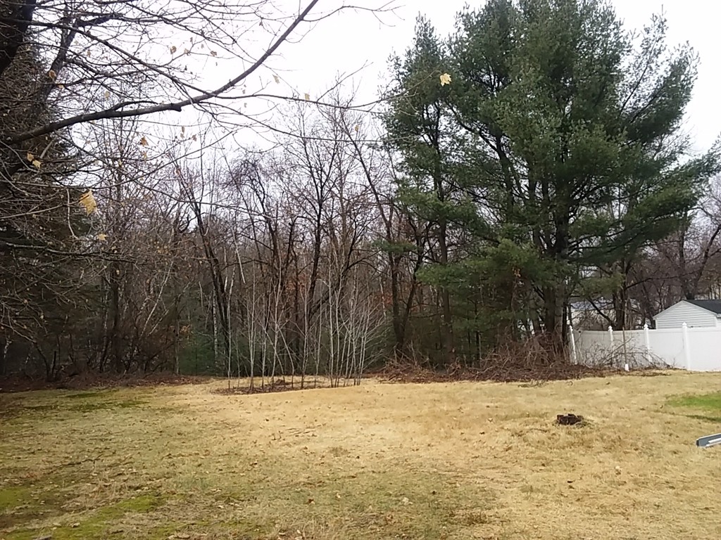 116 Forest Hills Road Springfield, MA 01128 - Photo 14 of 16