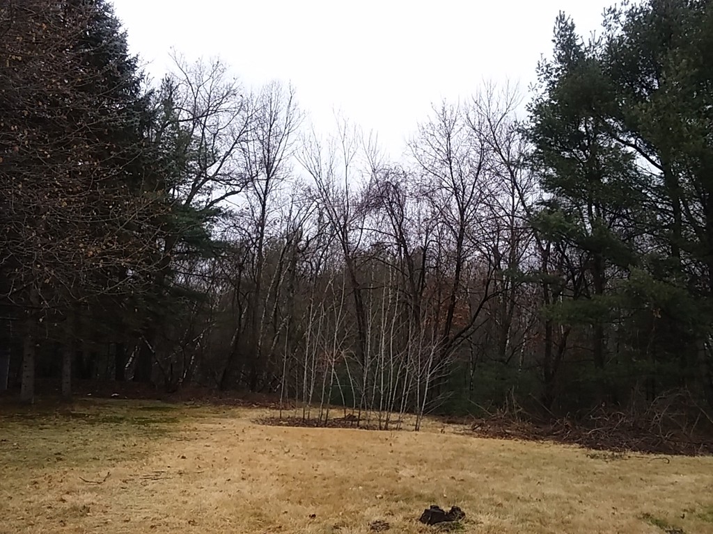 116 Forest Hills Road Springfield, MA 01128 - Photo 15 of 16