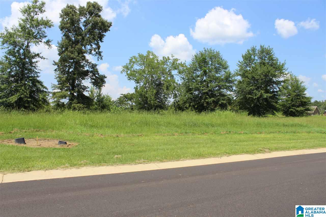 Overlook Drive, Unit 24 Lincoln, AL 35096 - Photo 8 of 10