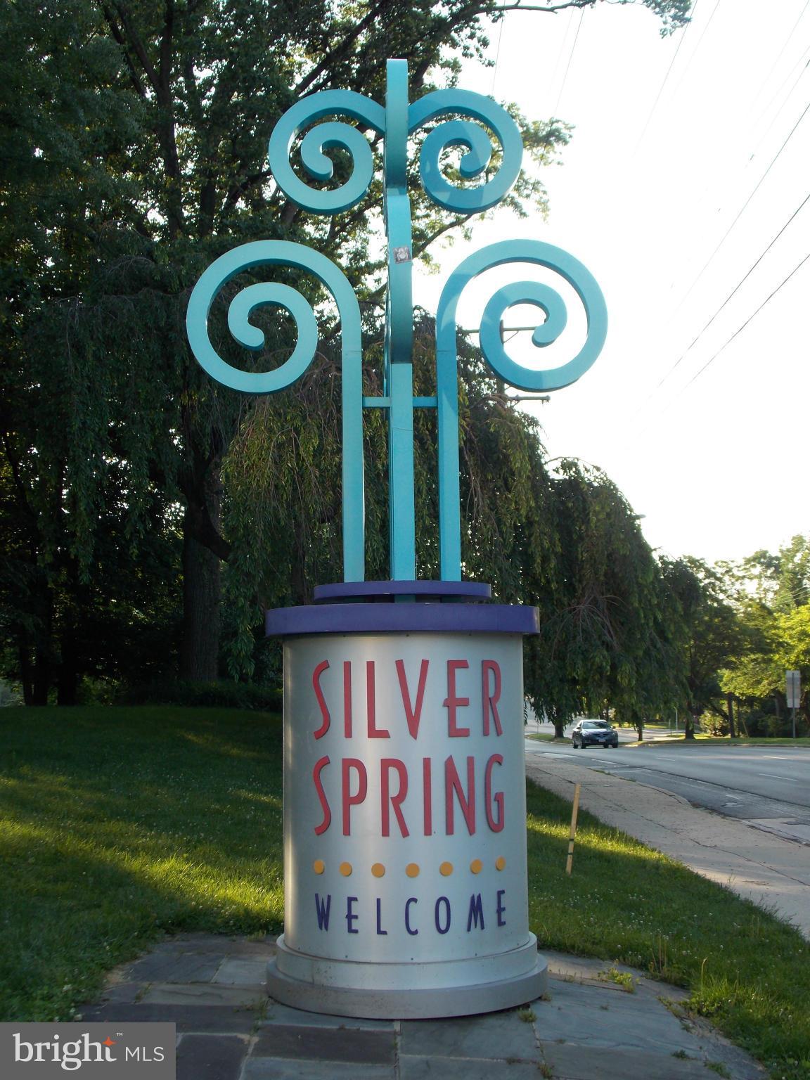 1615 Ladd Street Silver Spring, MD 20902 - Photo 27 of 30 a view of a sign of a park